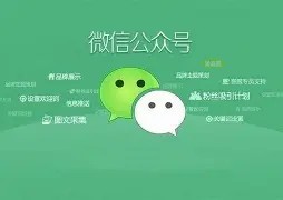 公众号