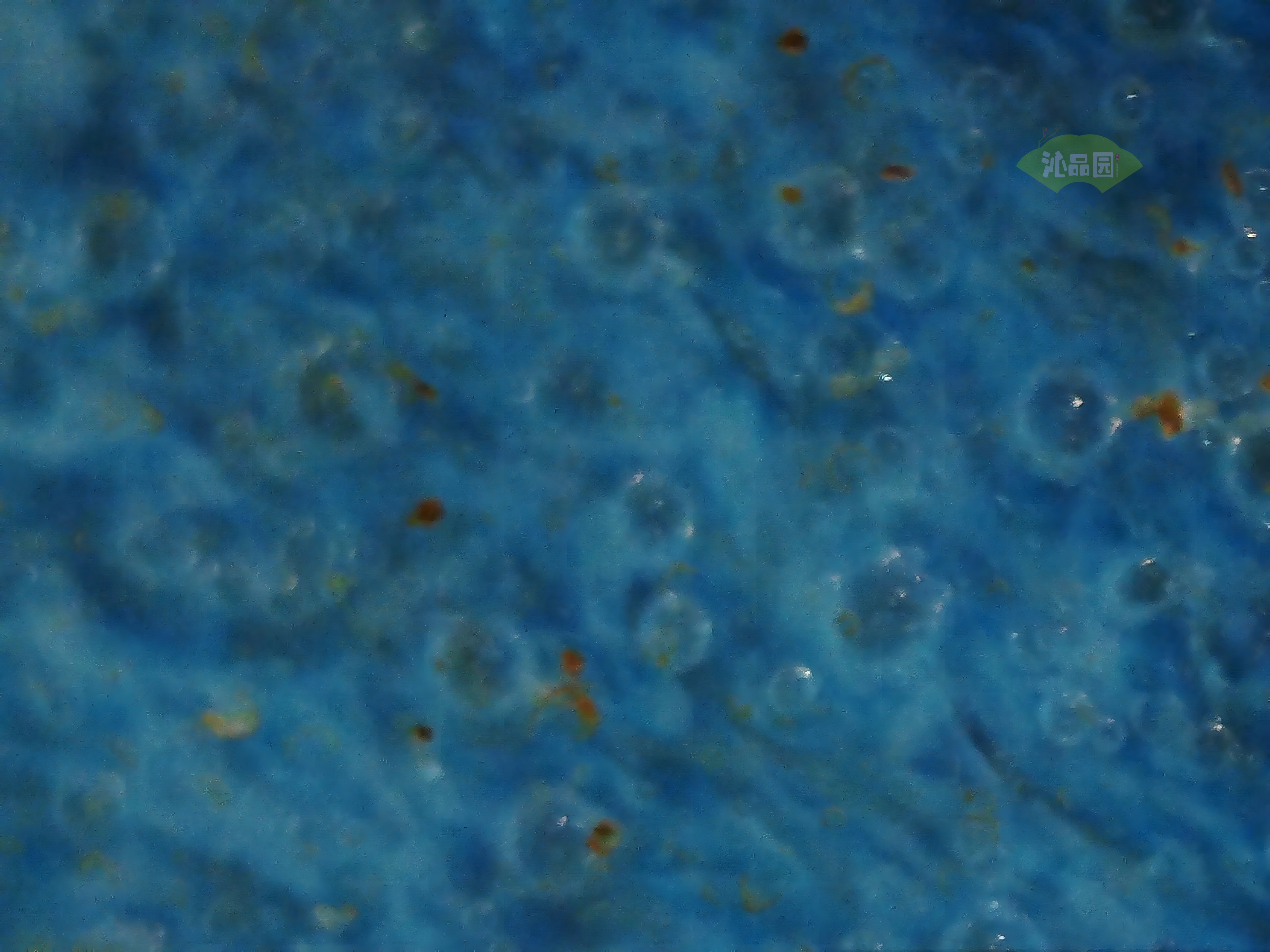 CHD00465.JPG