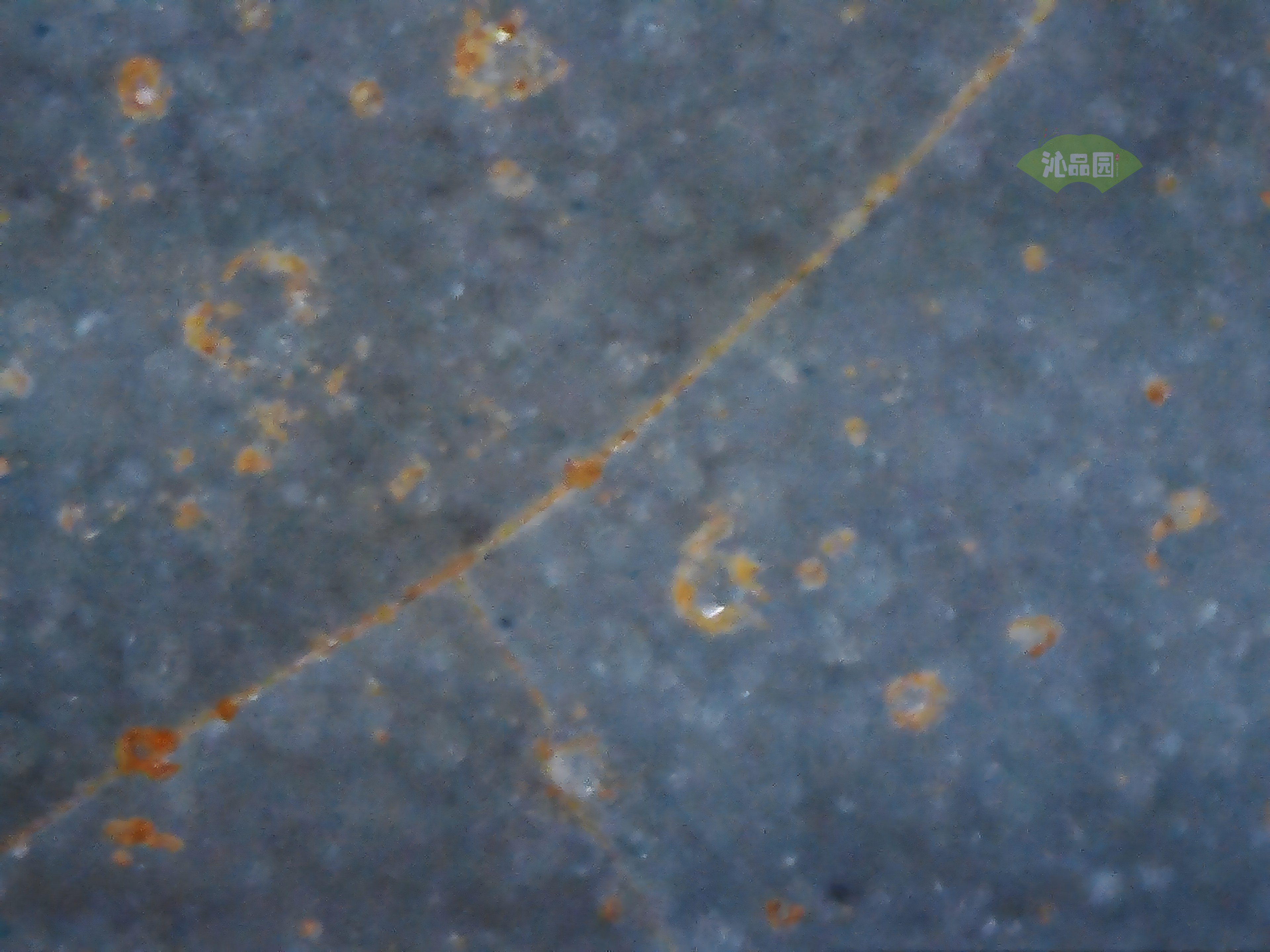 CHD00694.JPG