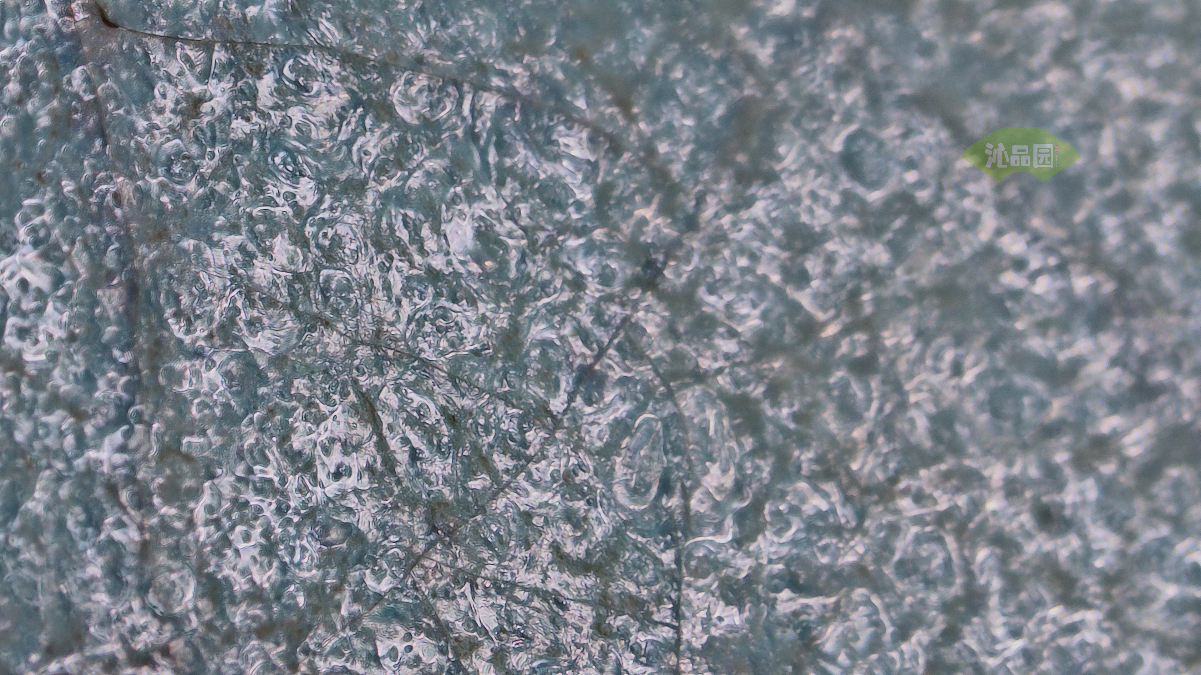 0002.jpg