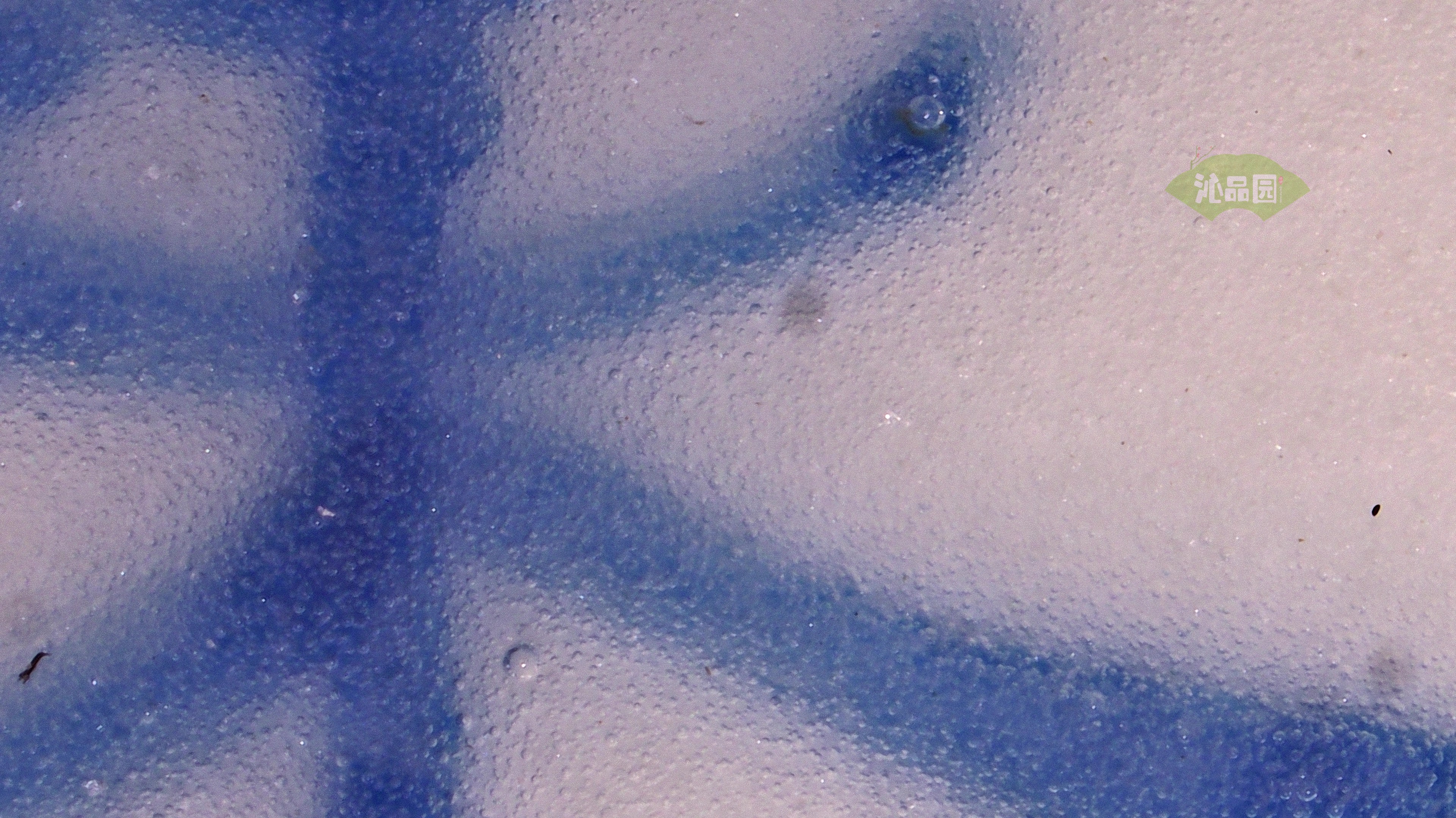 0338.jpg