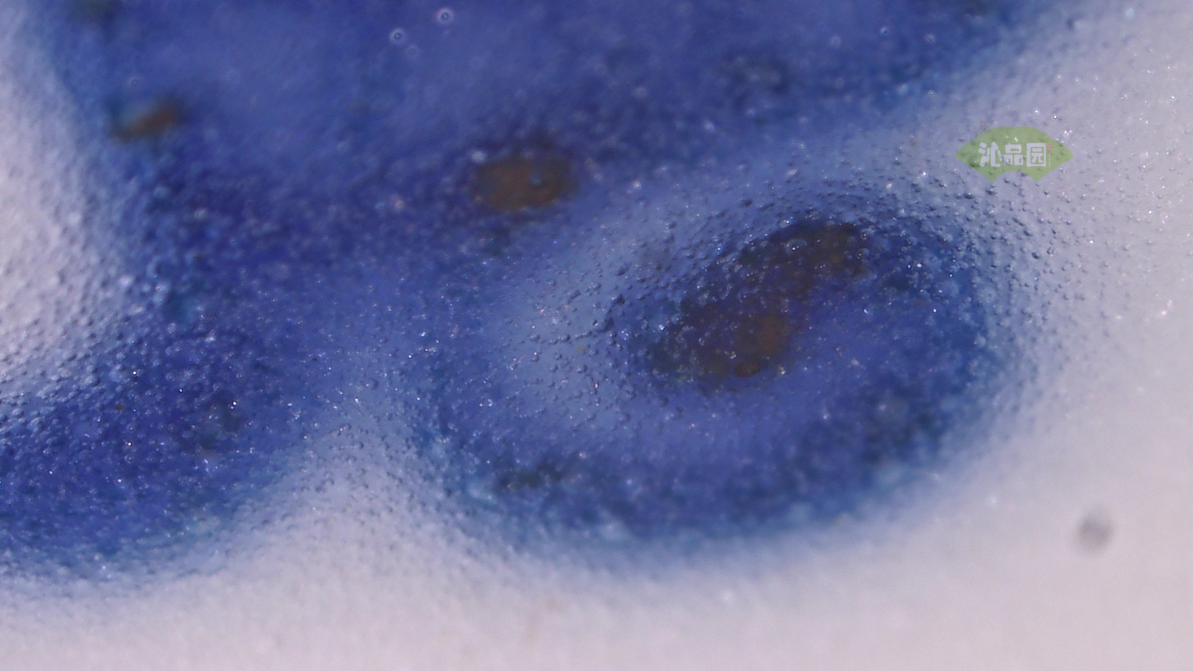 0288.jpg