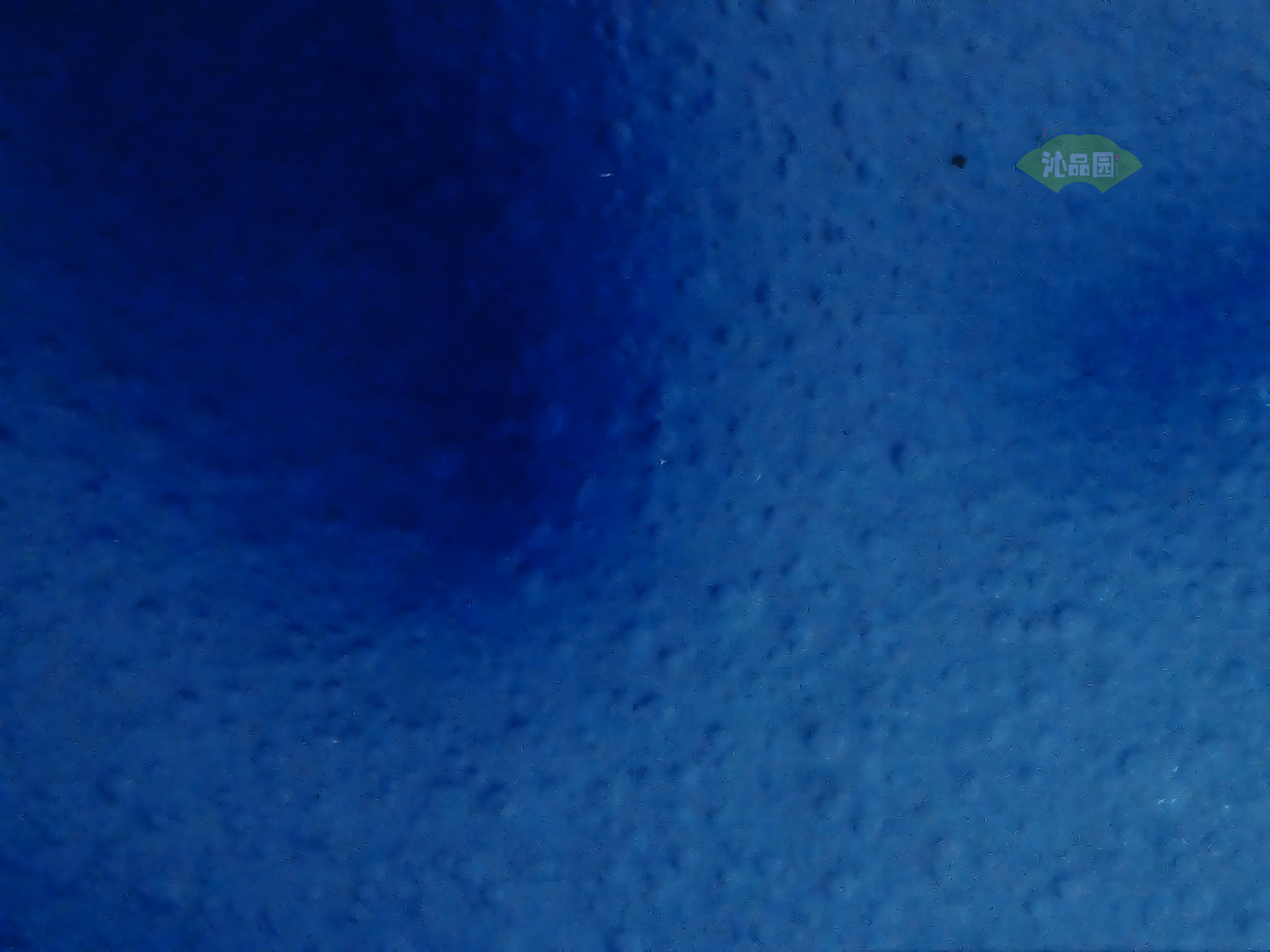 CHD00395.JPG