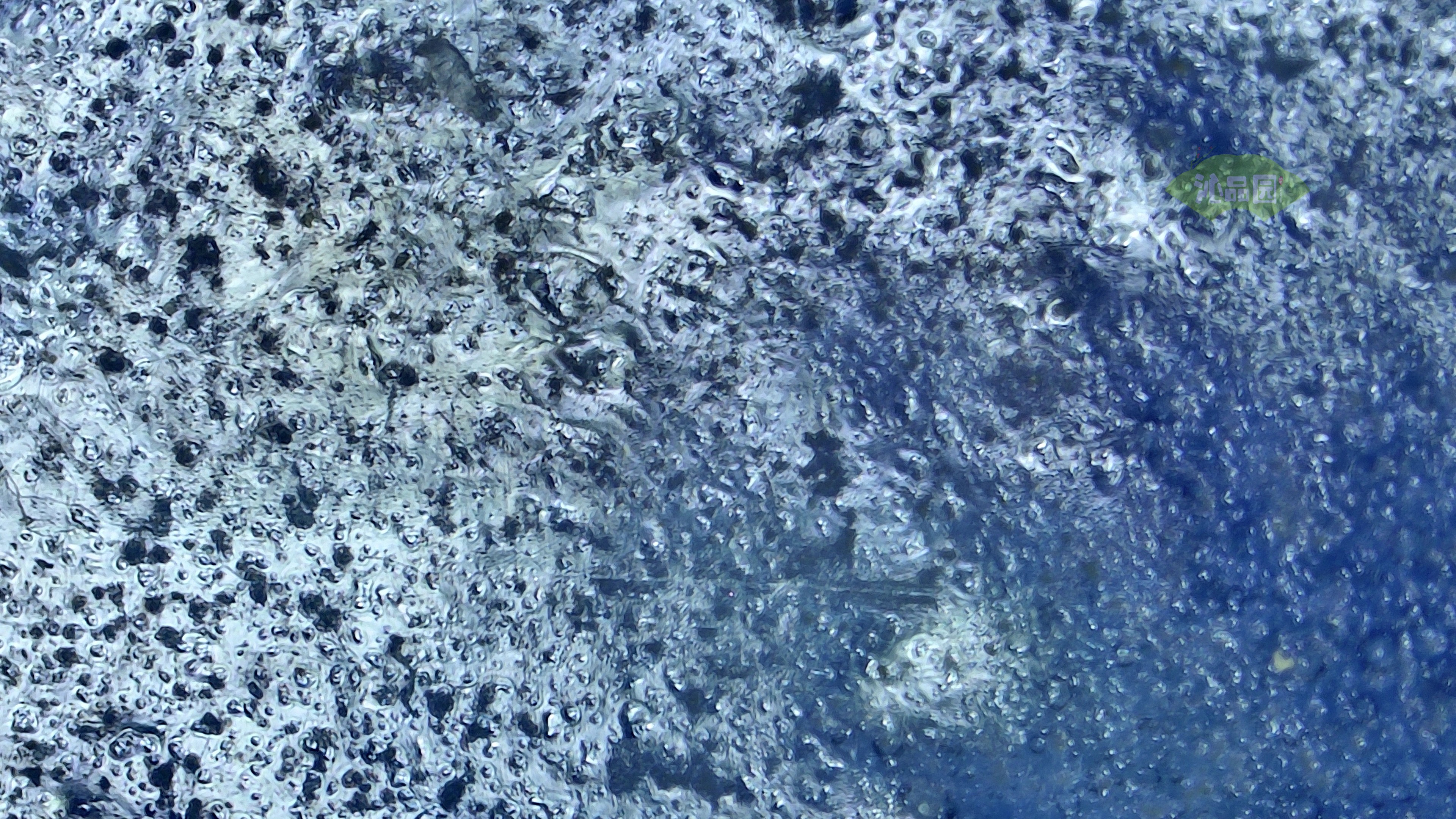0061.jpg