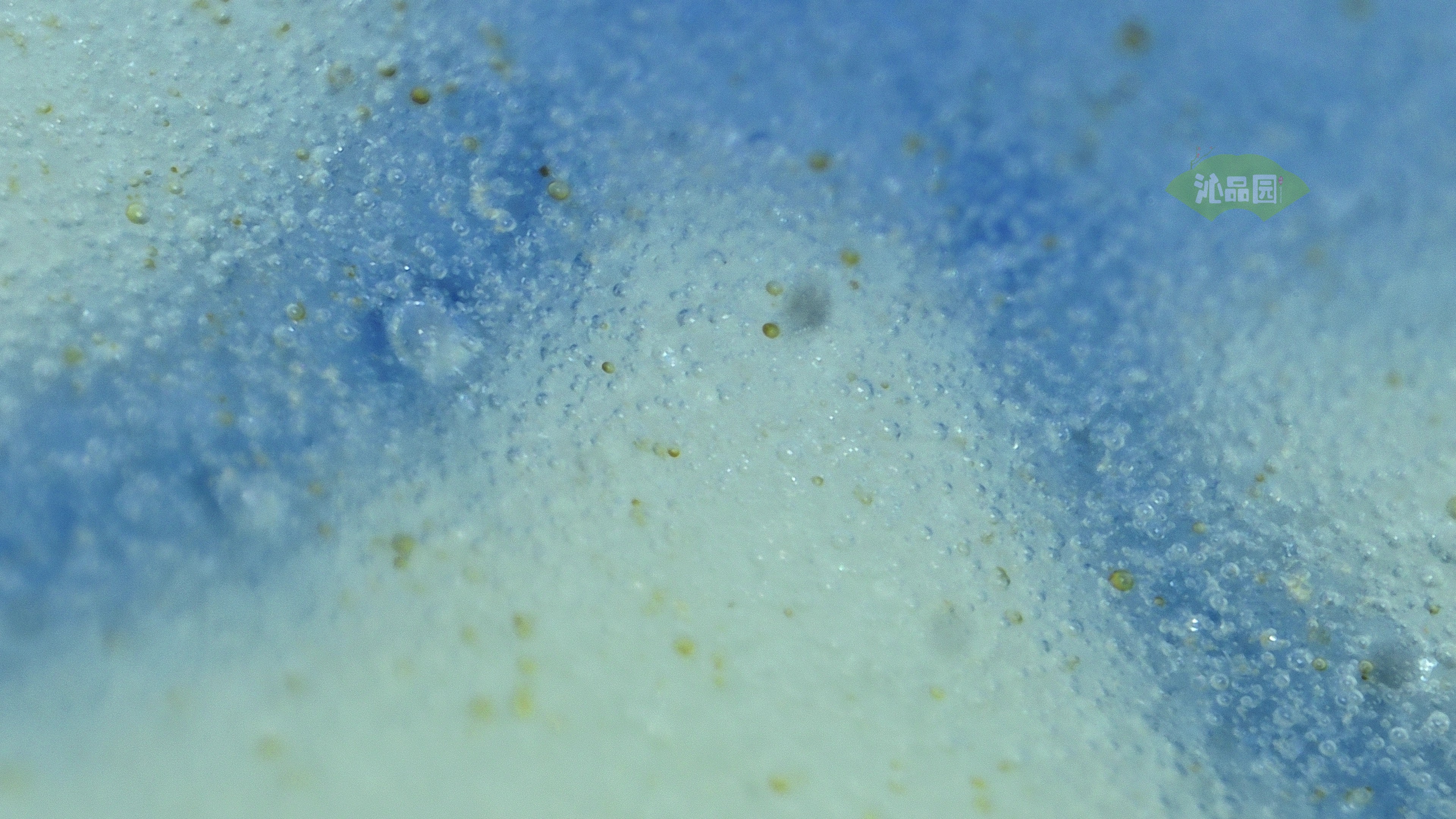0174.jpg