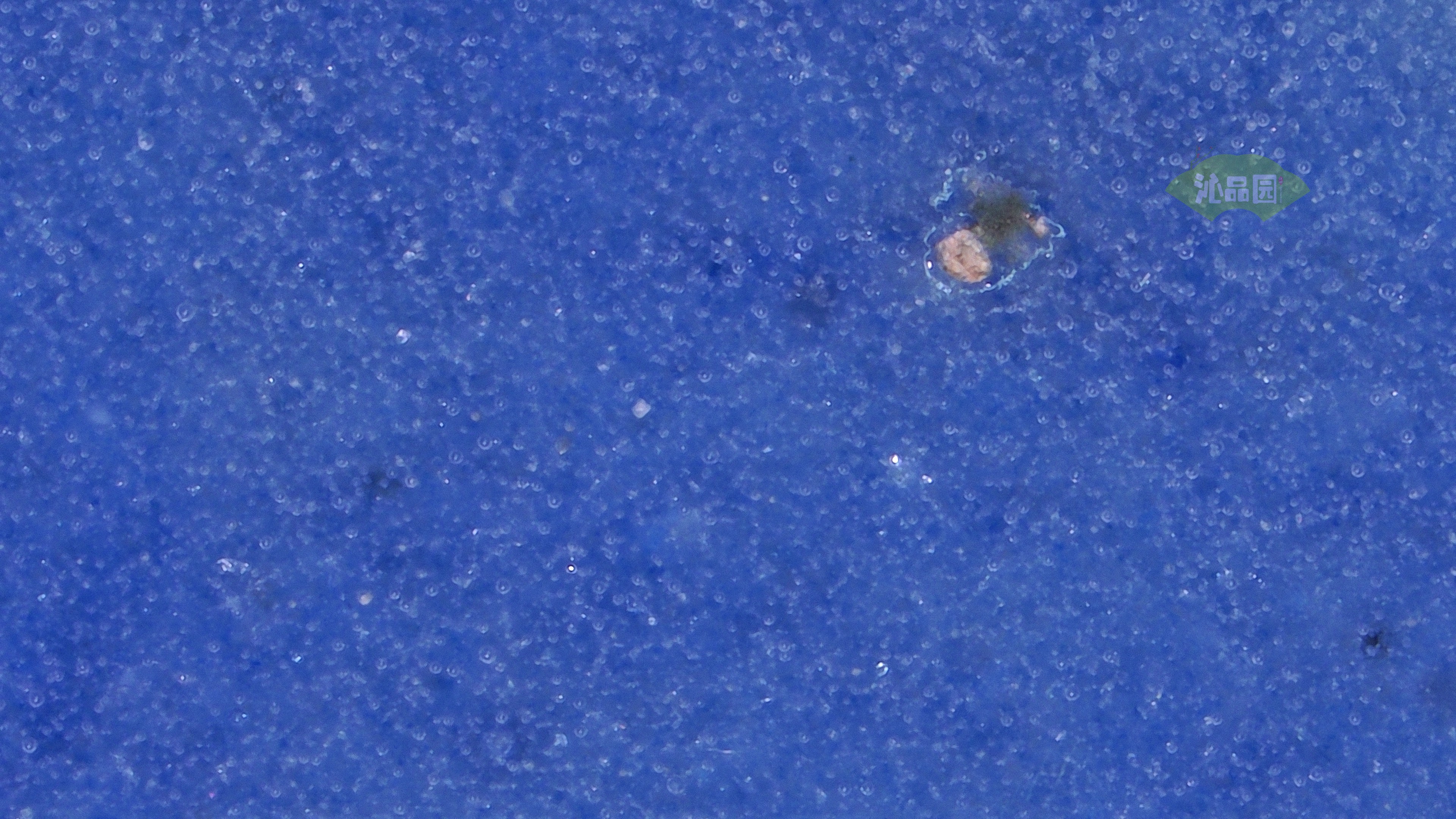 0100.jpg
