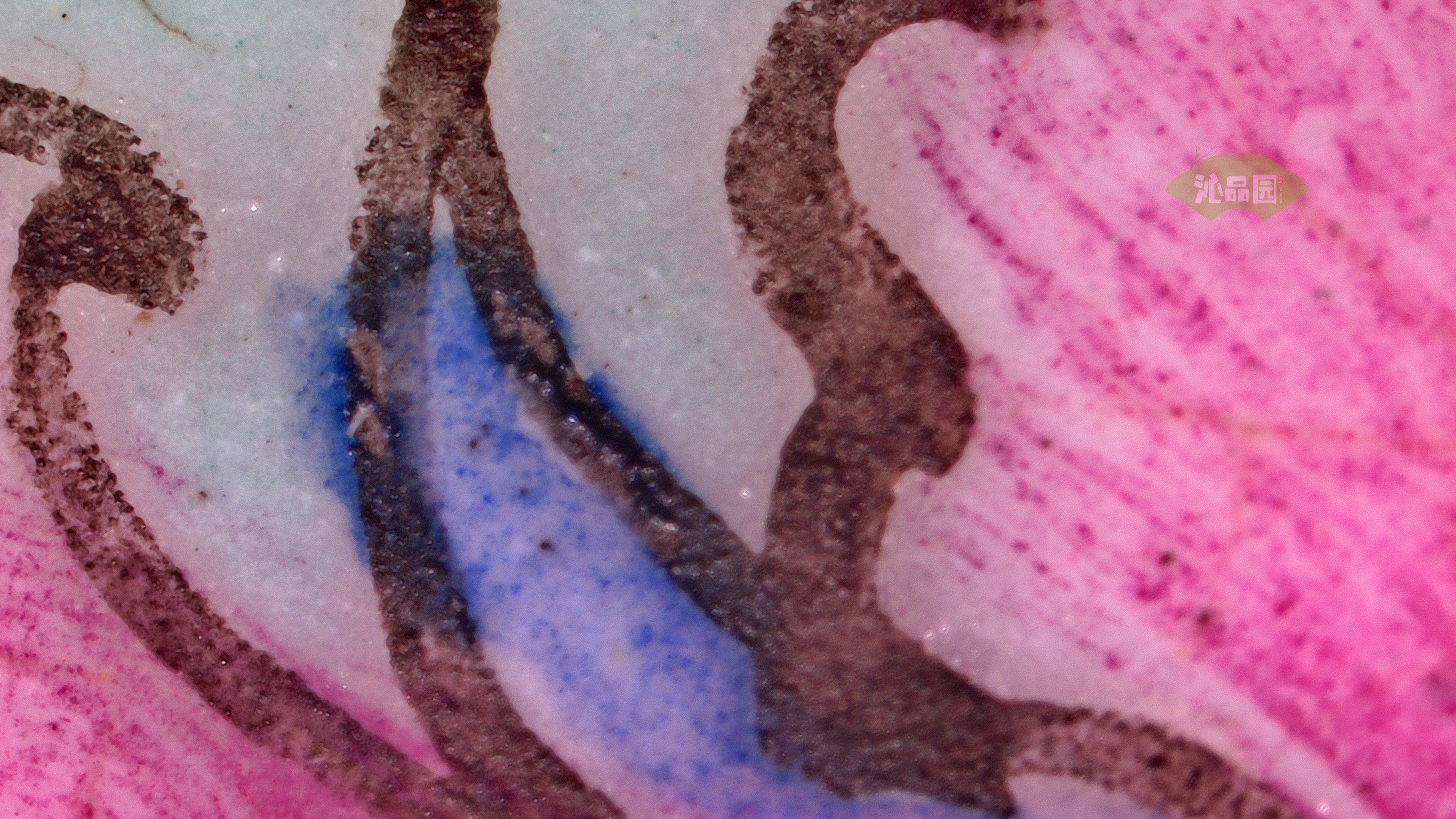 0286.jpg