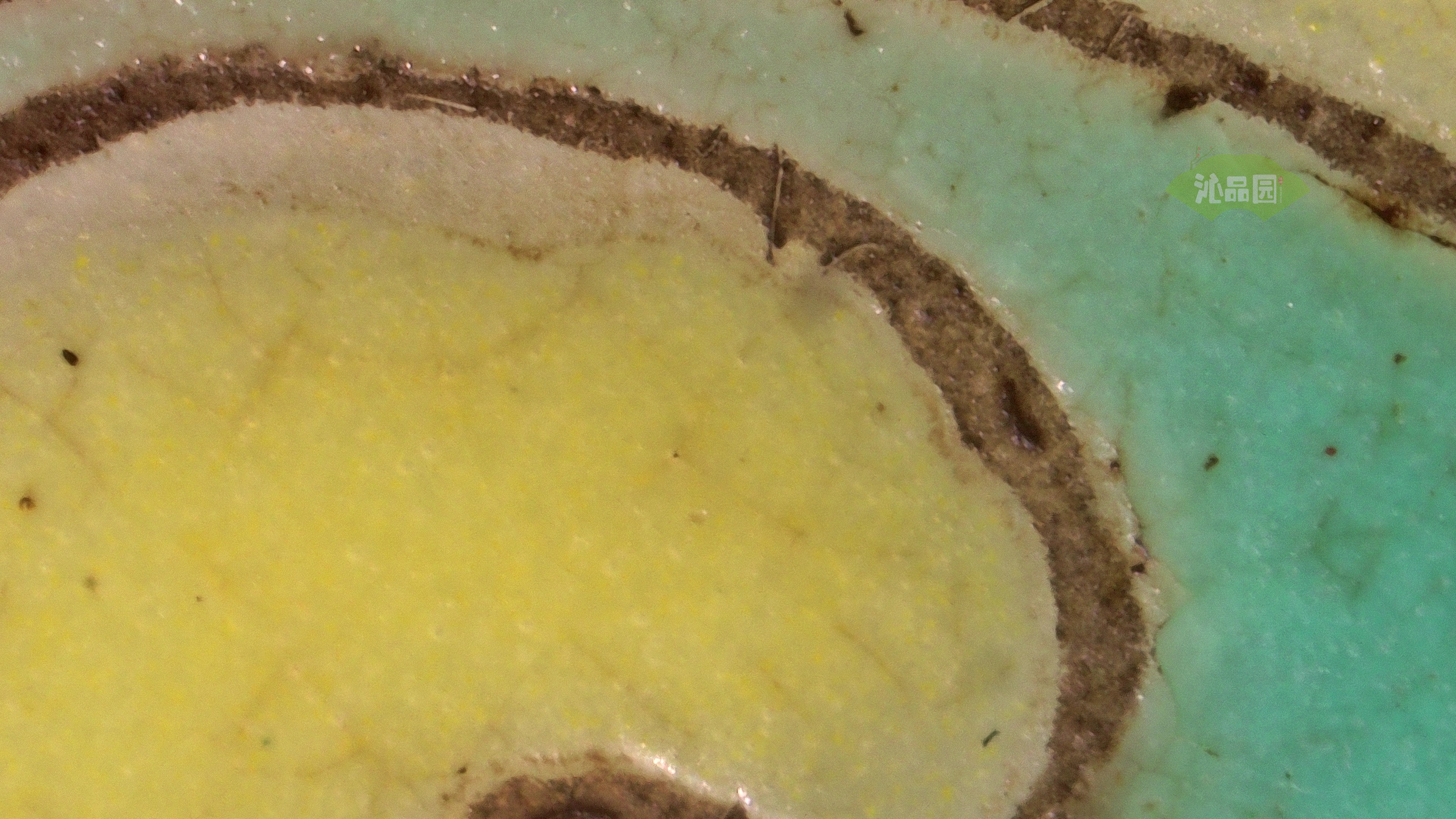 0941.jpg