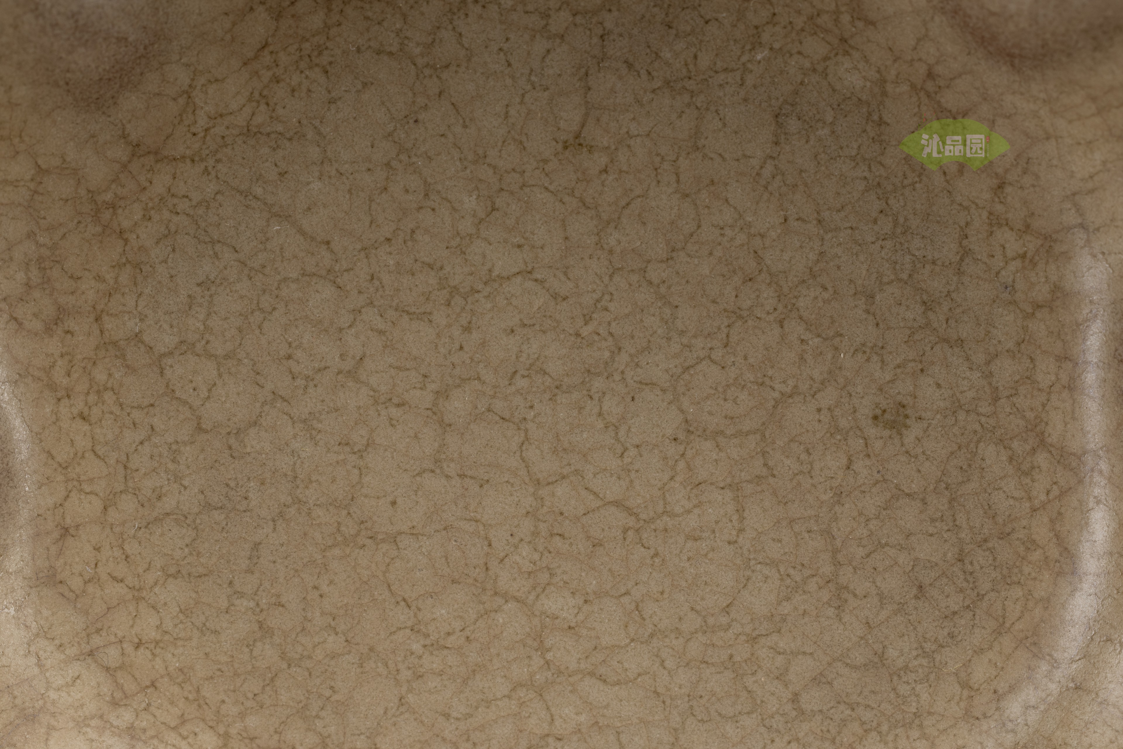 06.jpg
