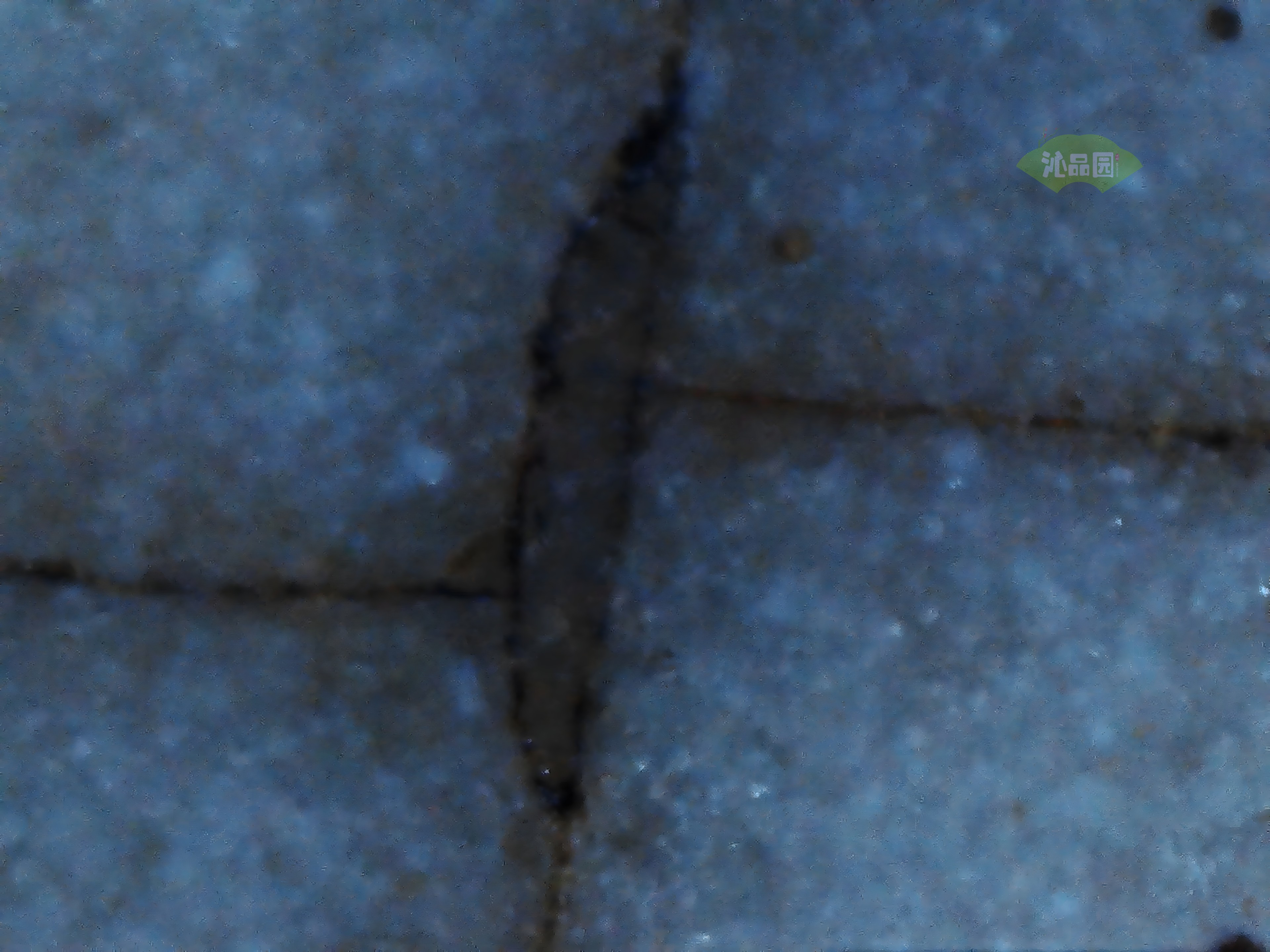 CHD00609.JPG