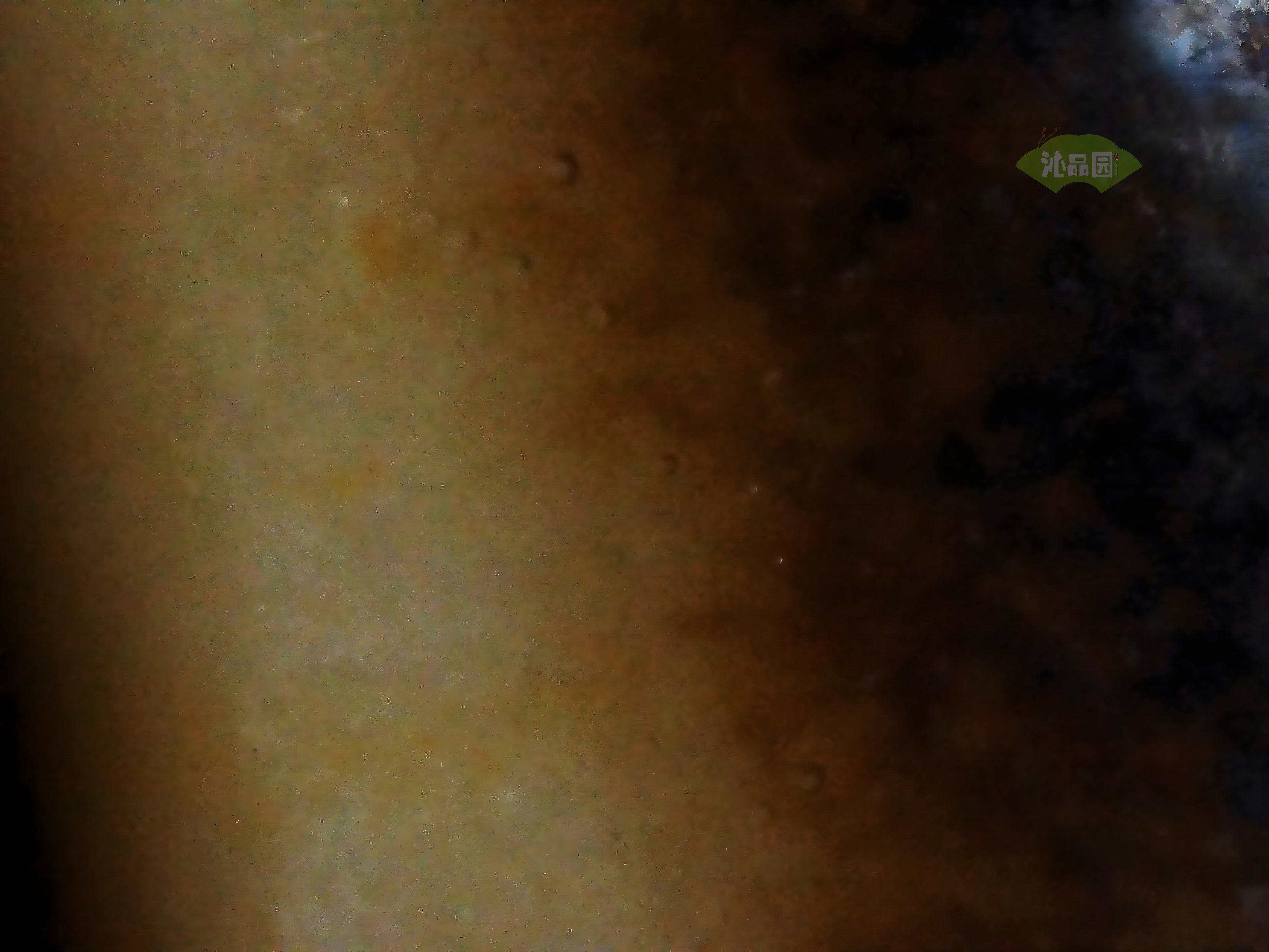 CHD00320.JPG