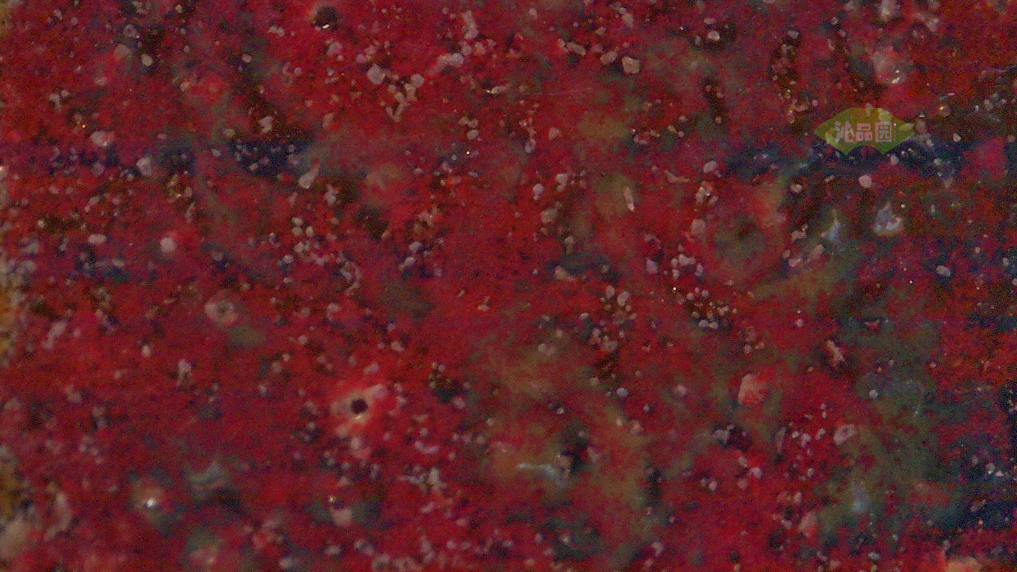 0306.jpg