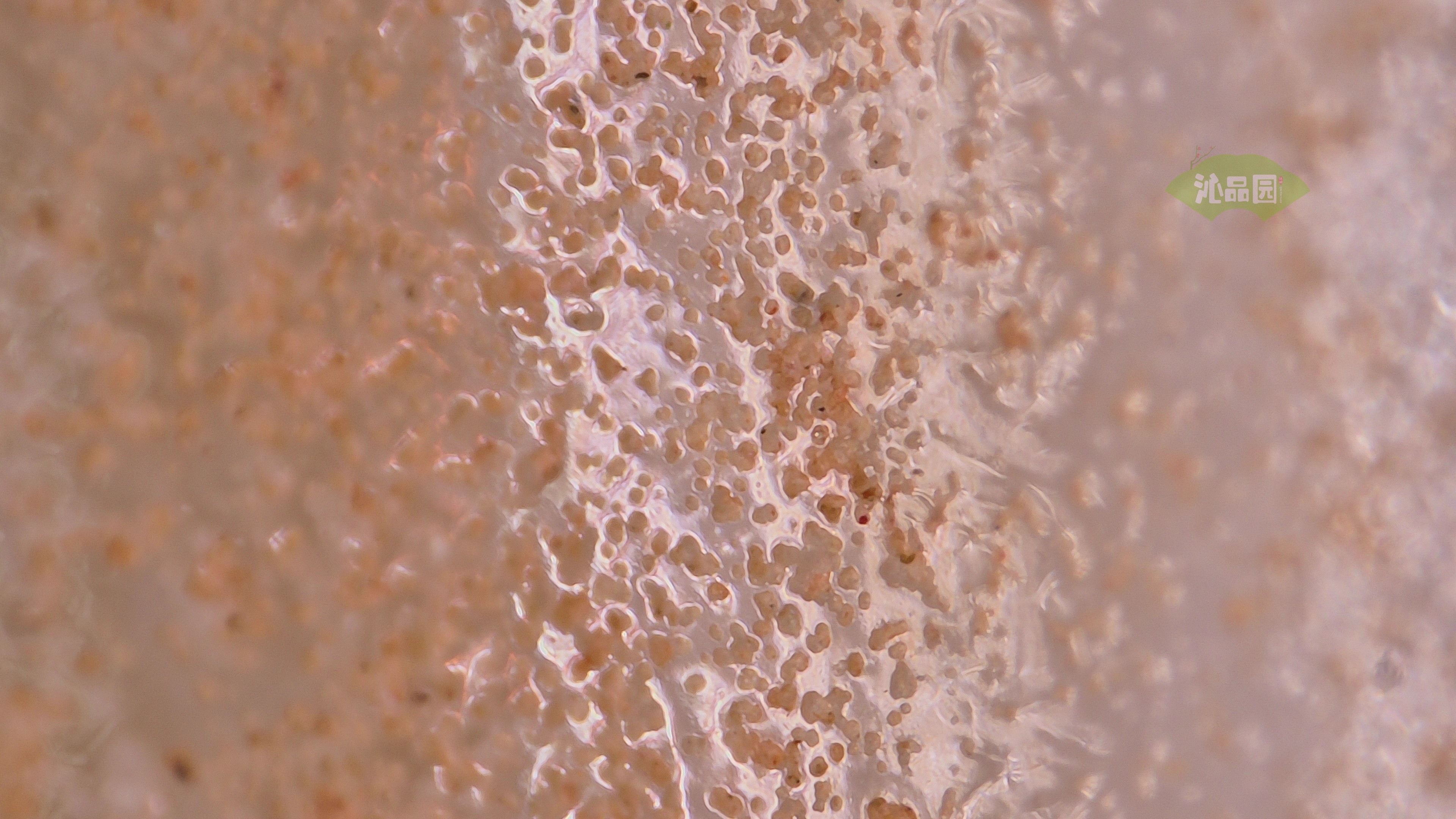 0219.jpg