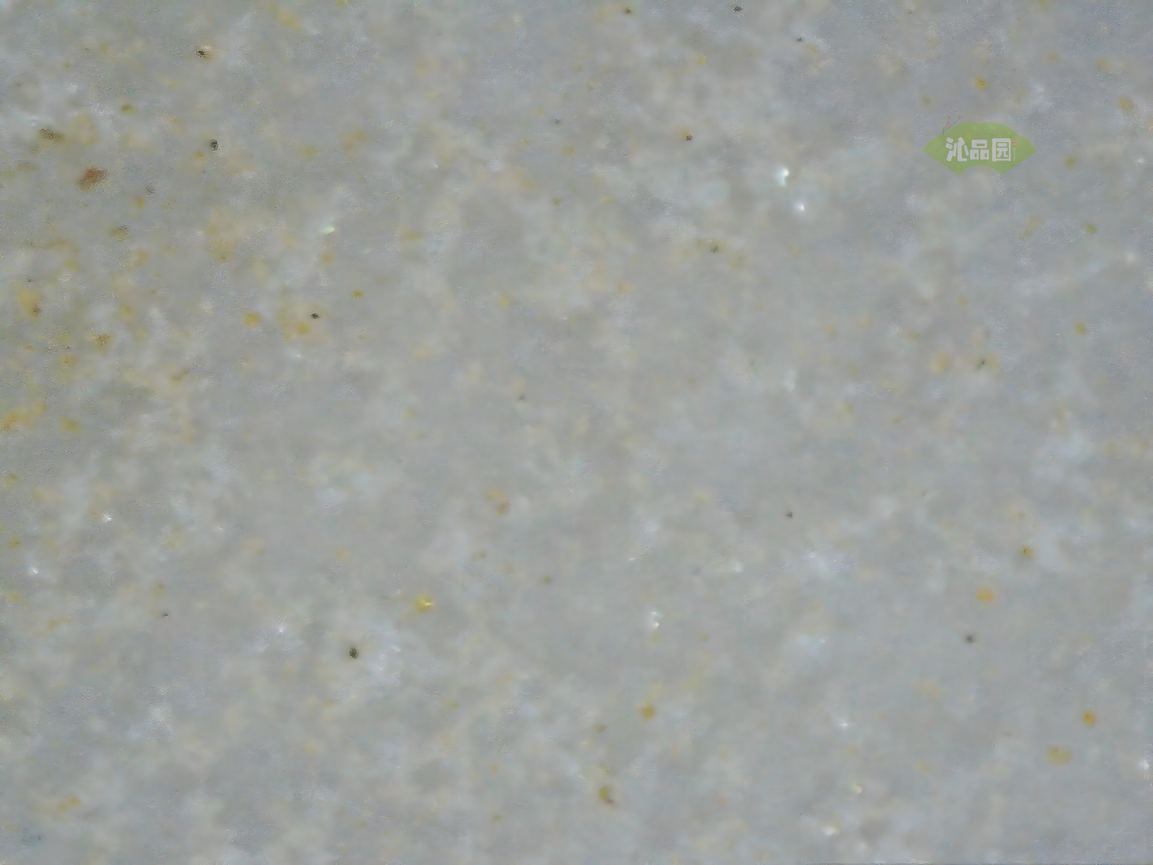 CHD00545.JPG