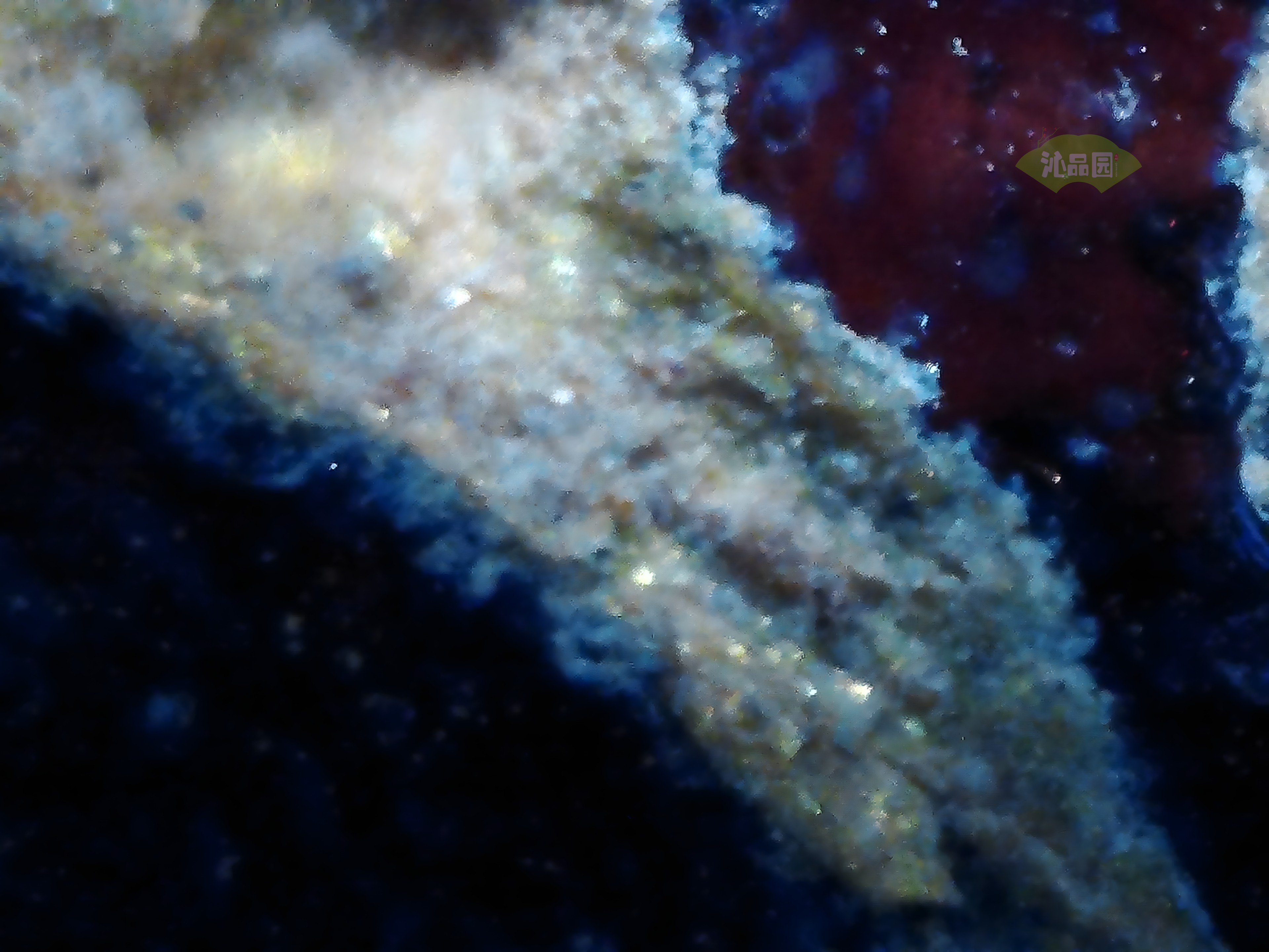 CHD00766.JPG