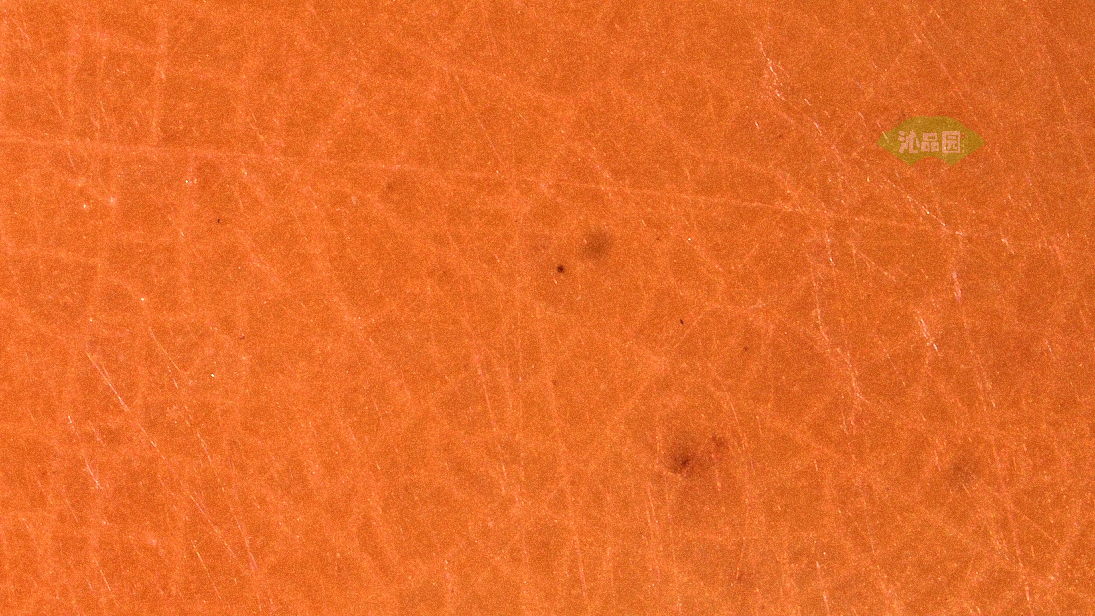 0021.jpg