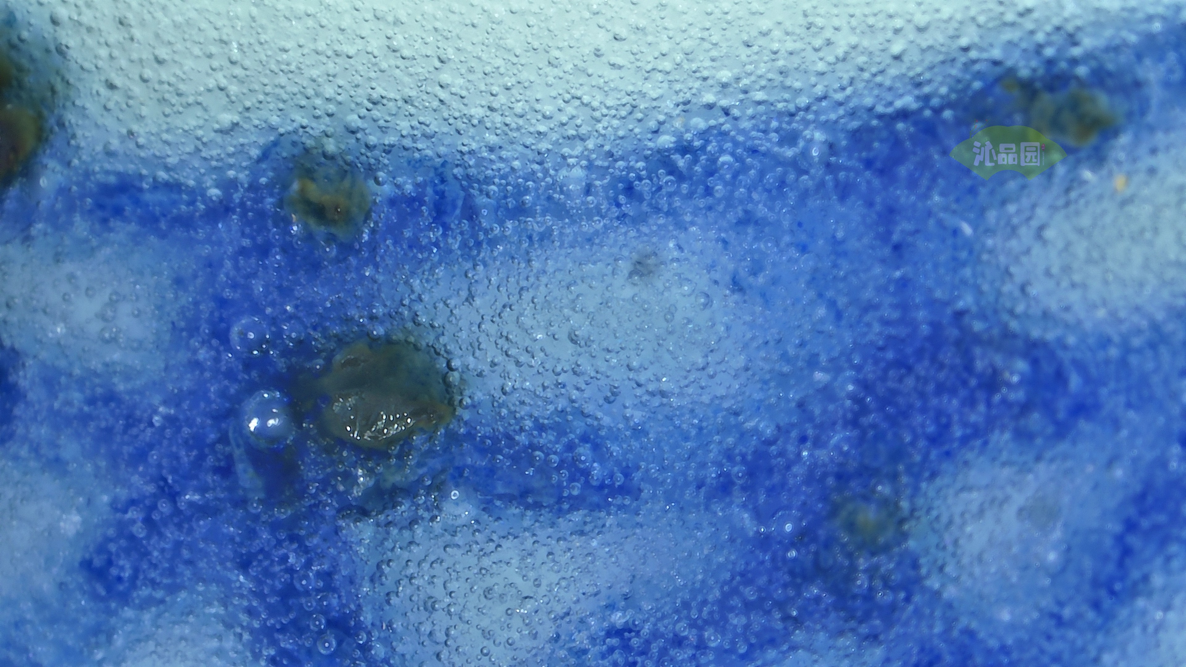 0740.jpg
