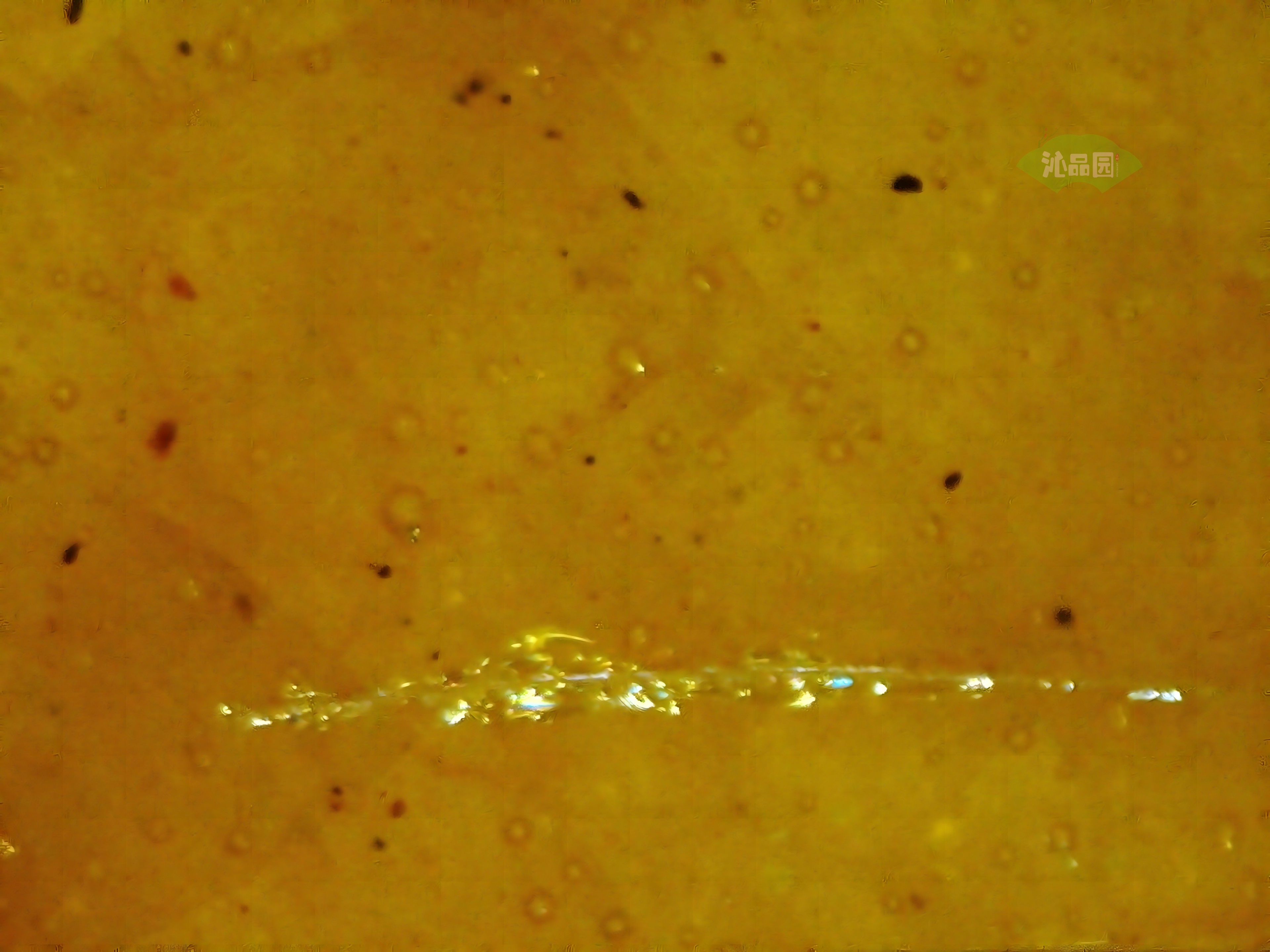 CHD00561.JPG
