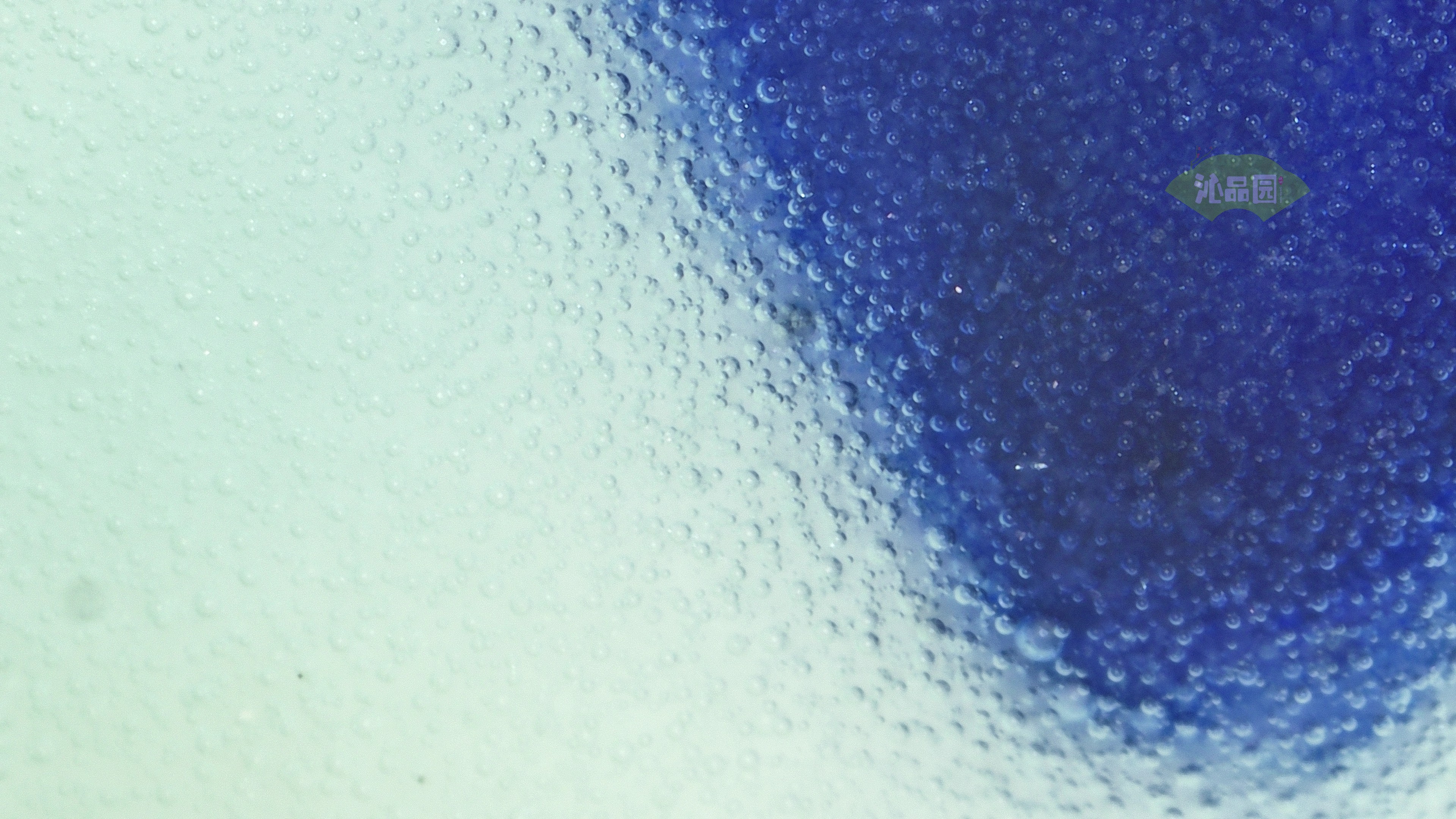 0658.jpg