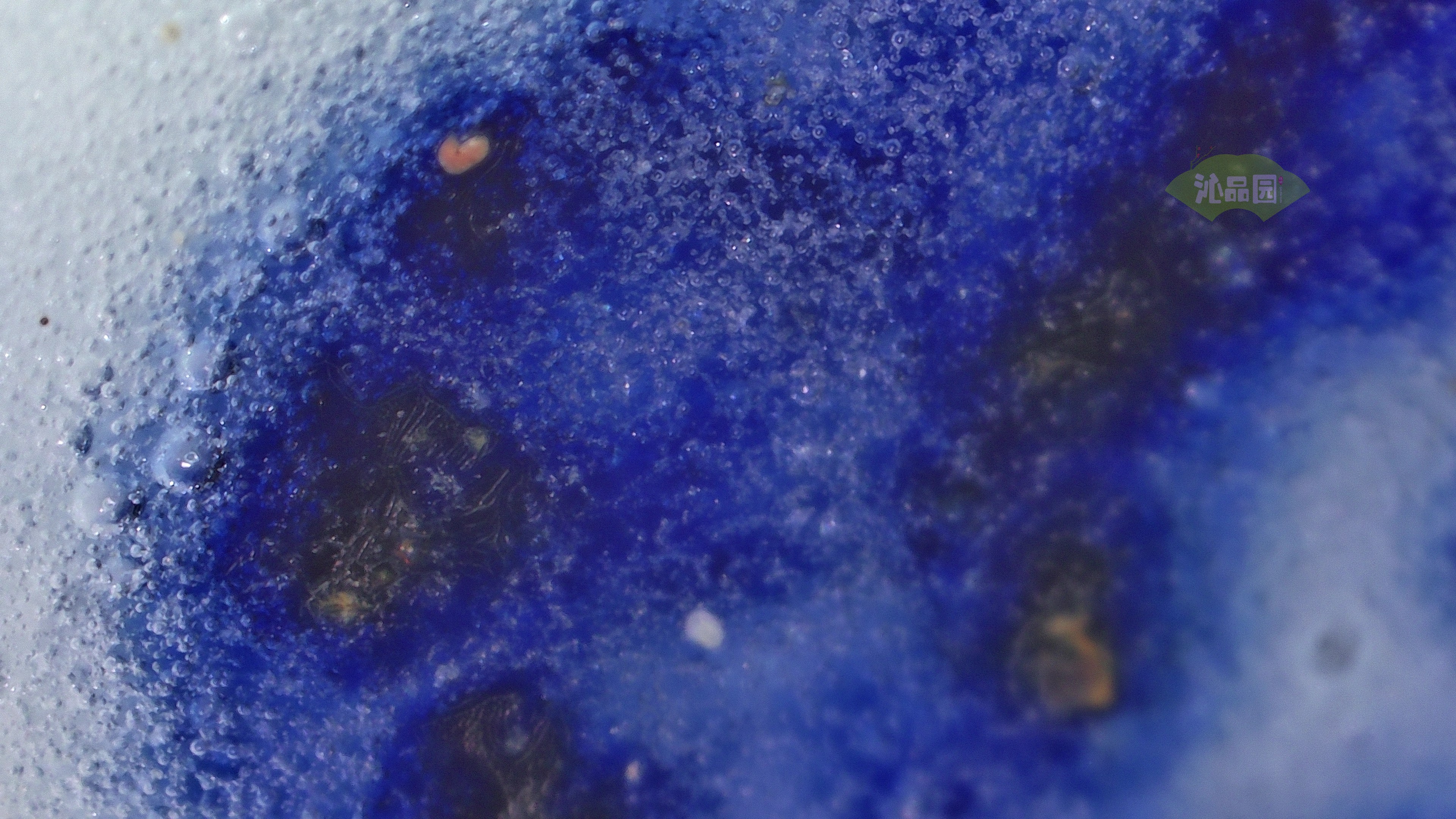 0557.jpg
