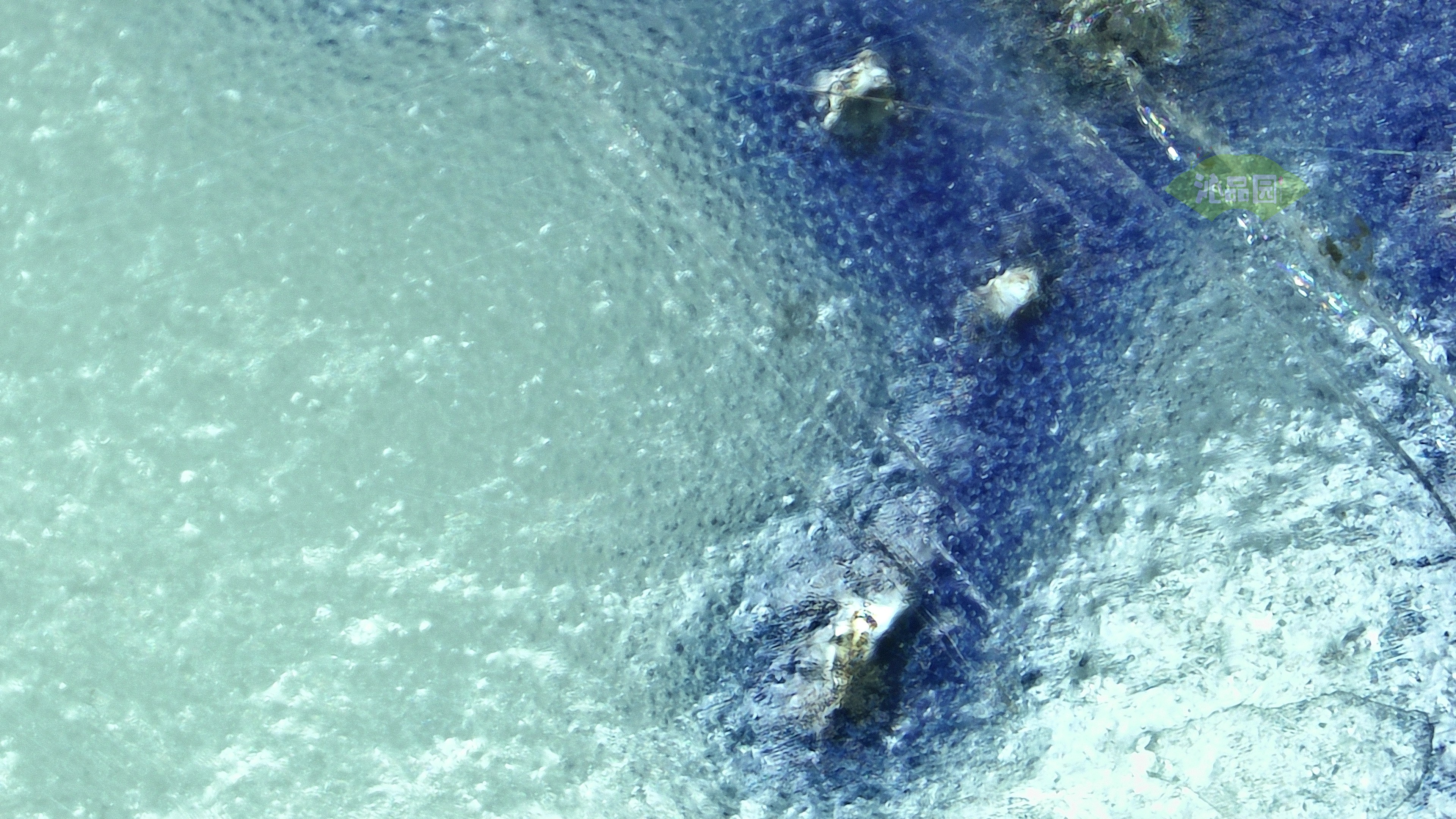 1041.jpg
