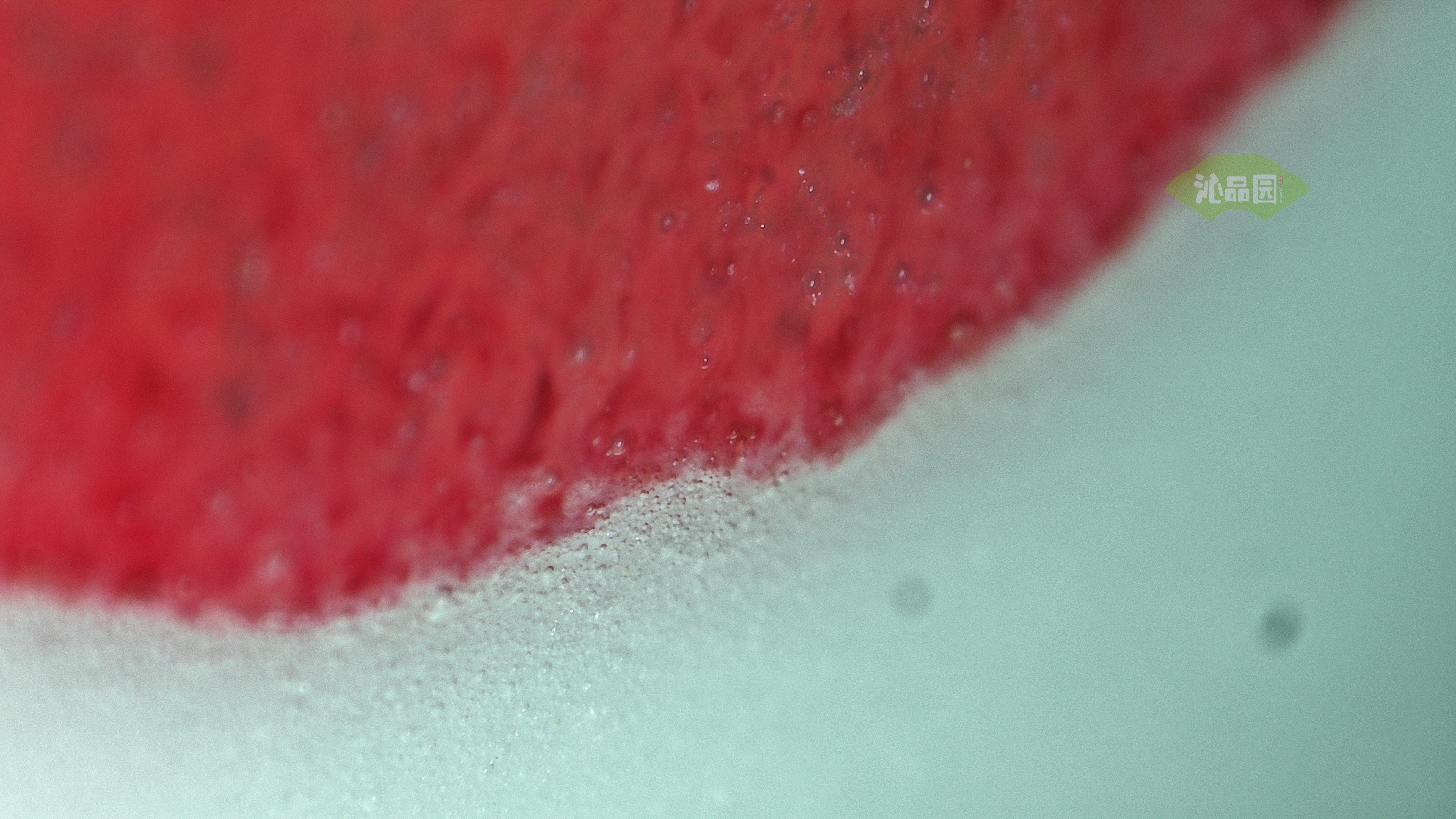 0283.jpg