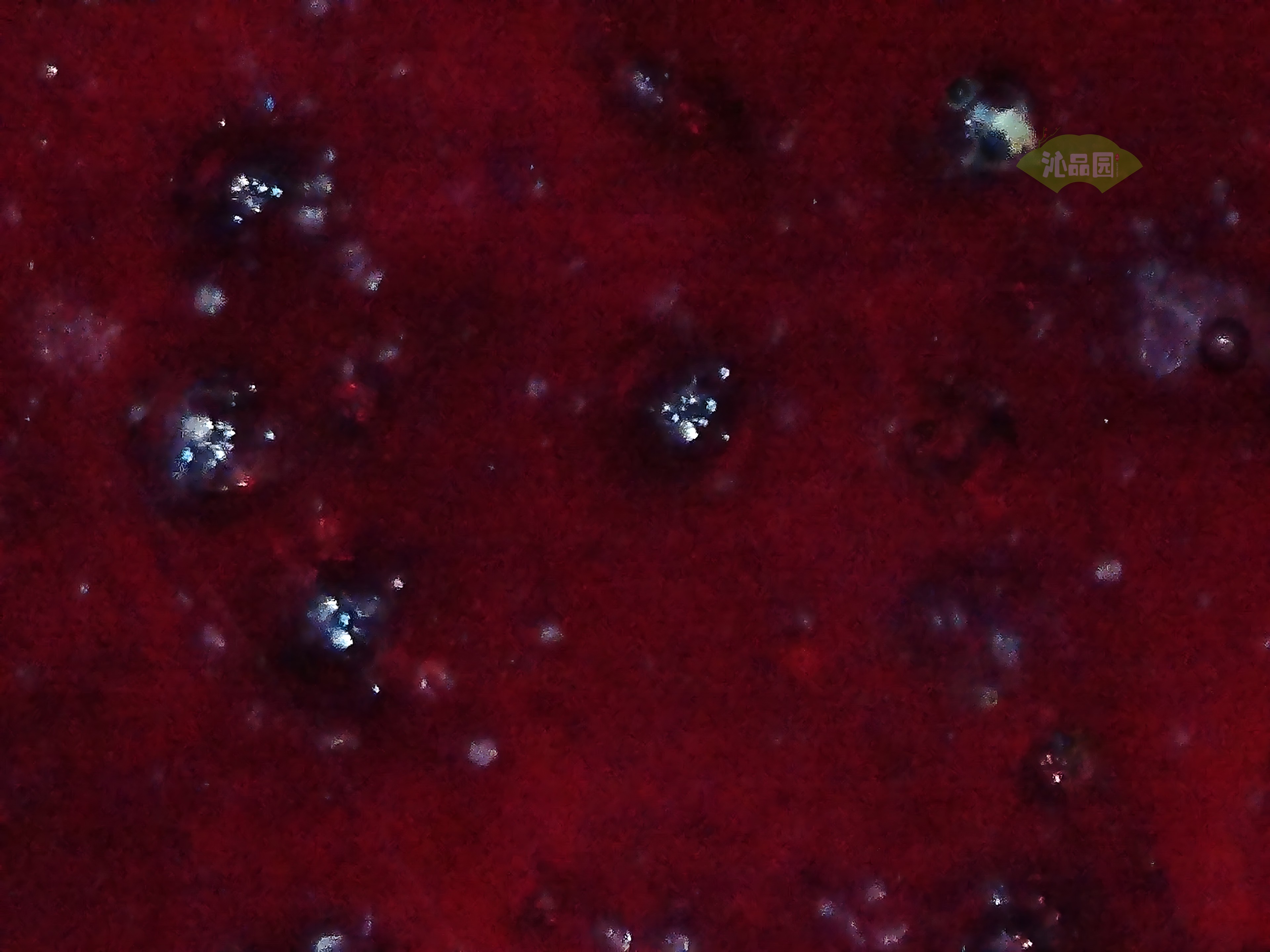 CHD00590.JPG