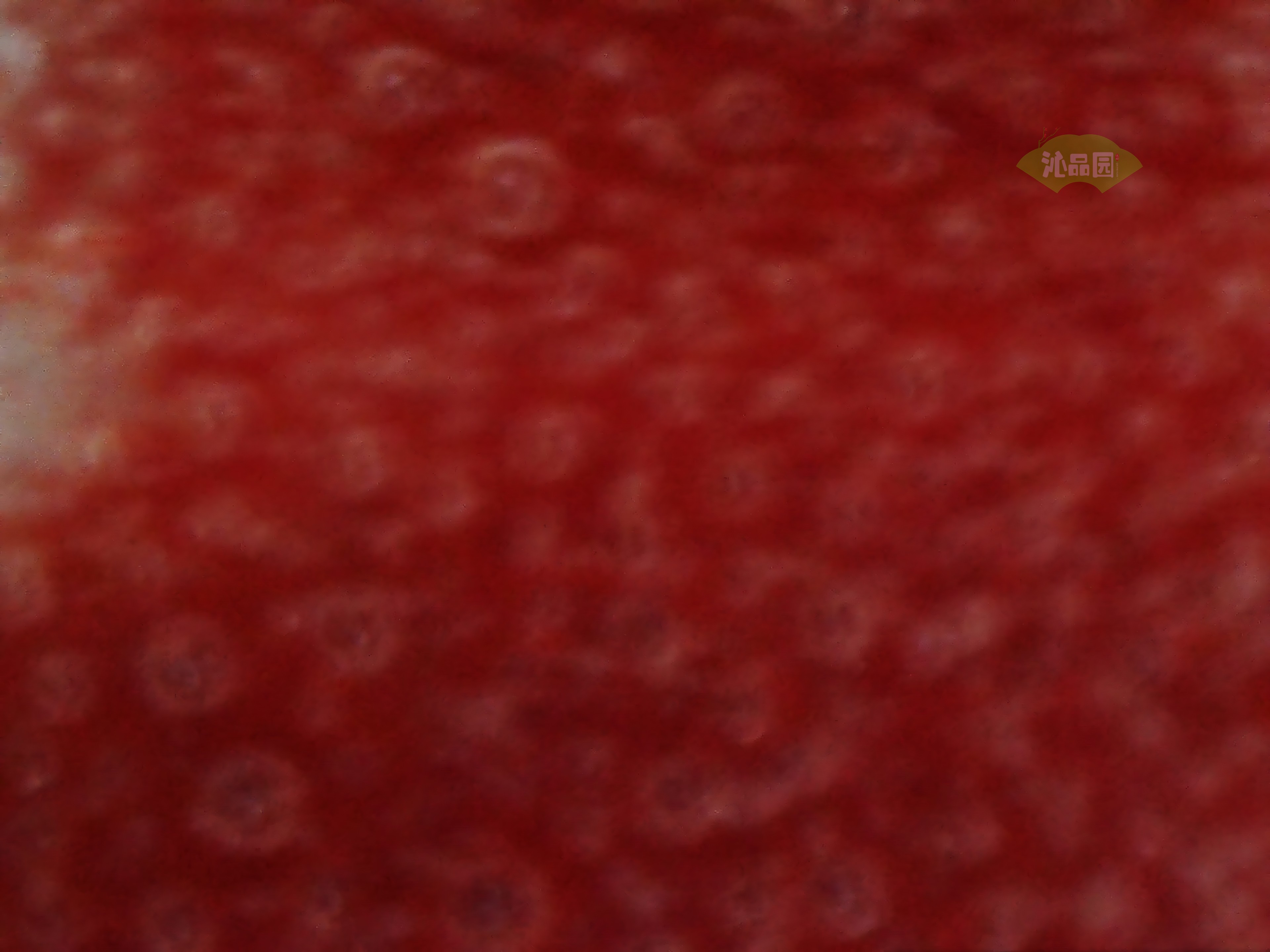 CHD00894.JPG