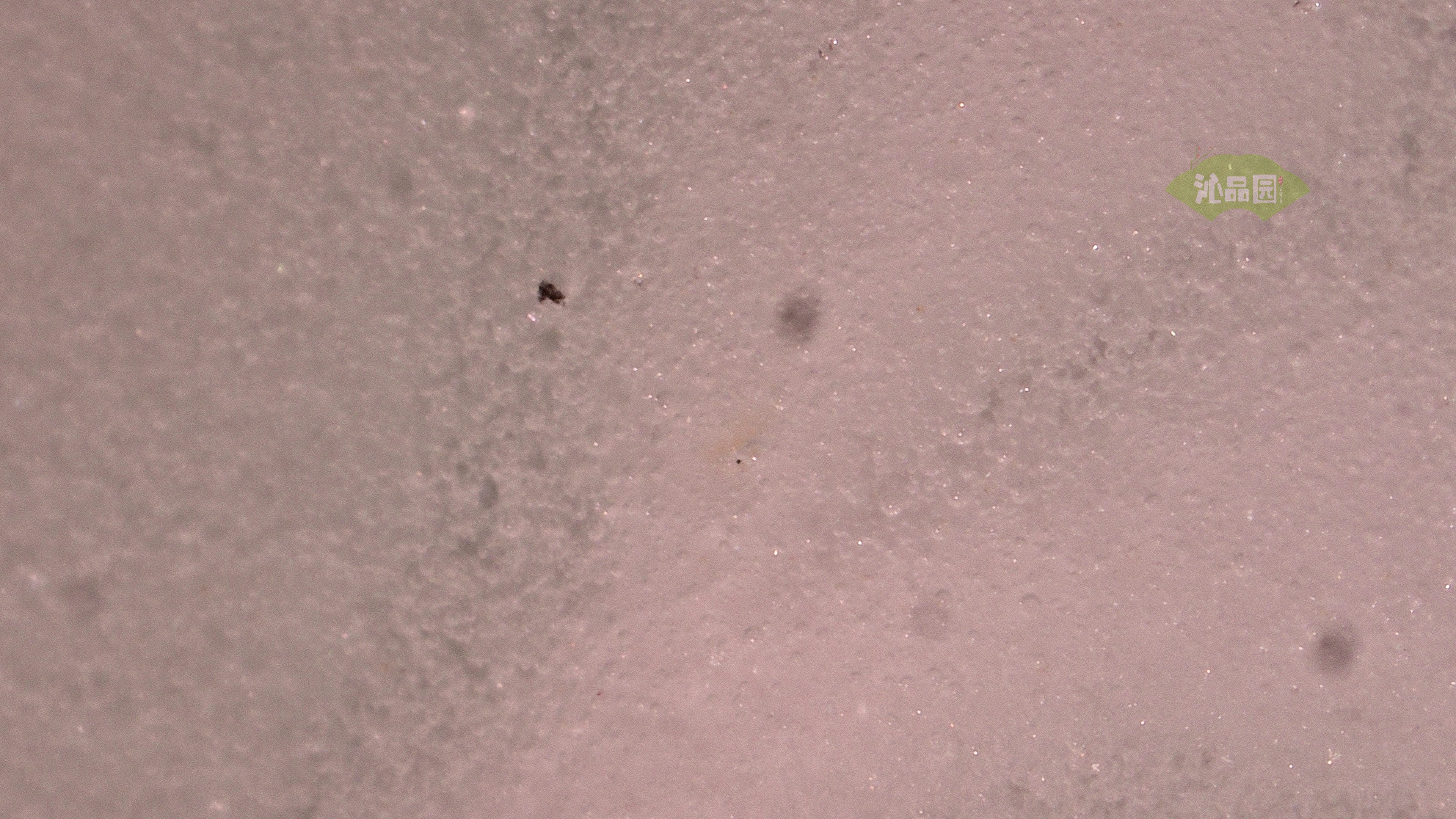1032.jpg