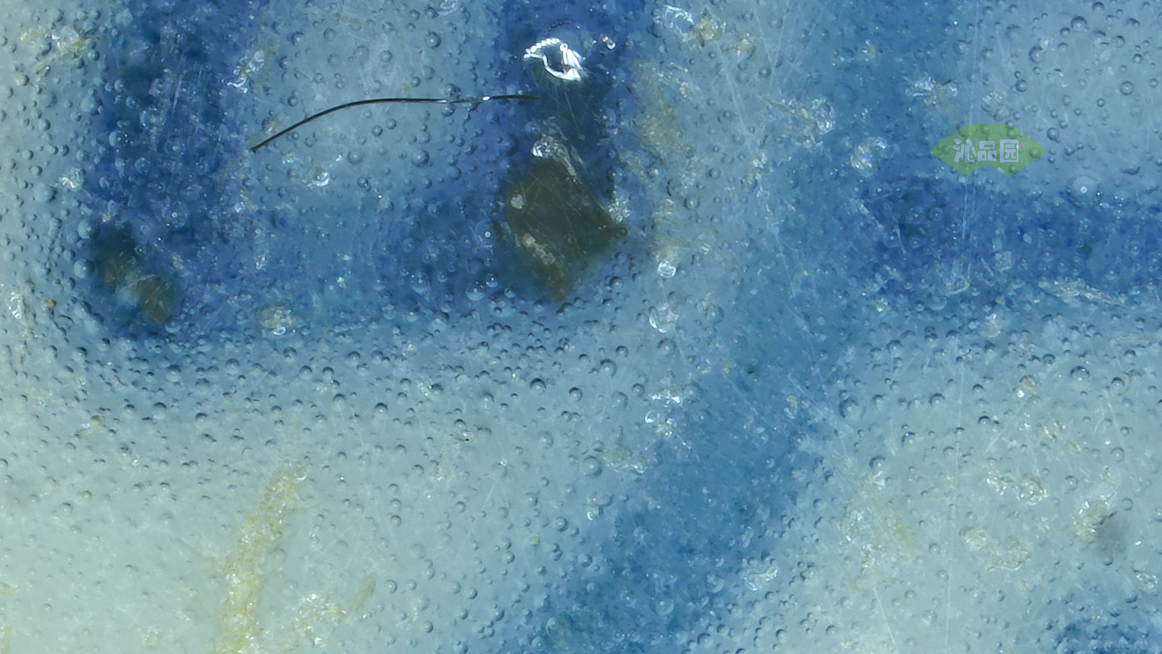 0290.jpg