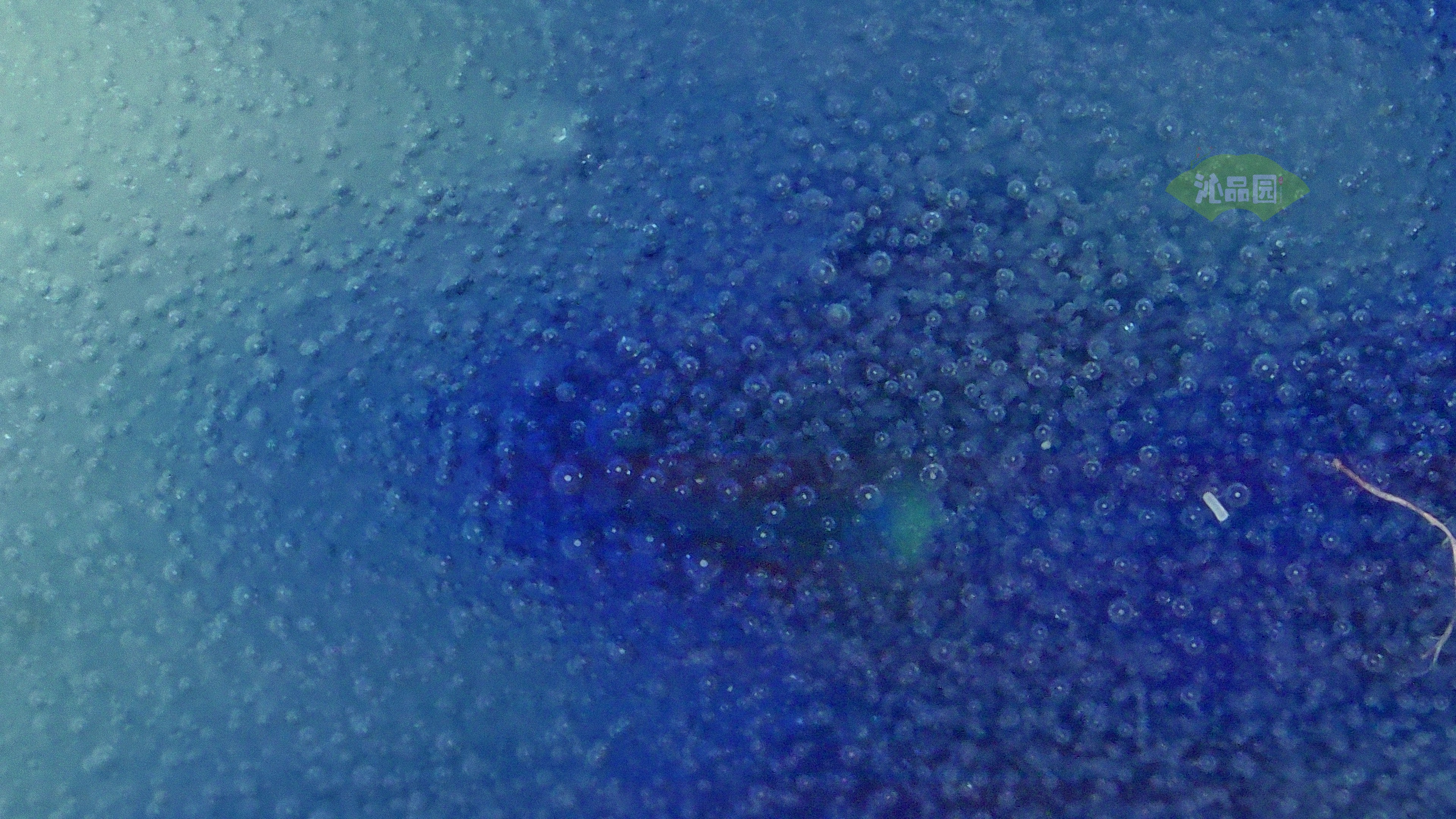0332.jpg
