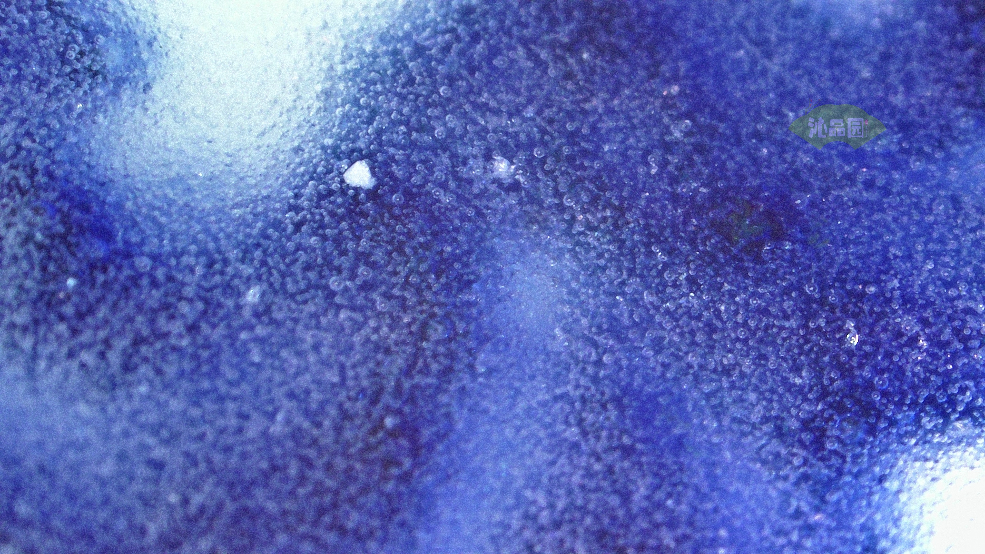 0120.jpg