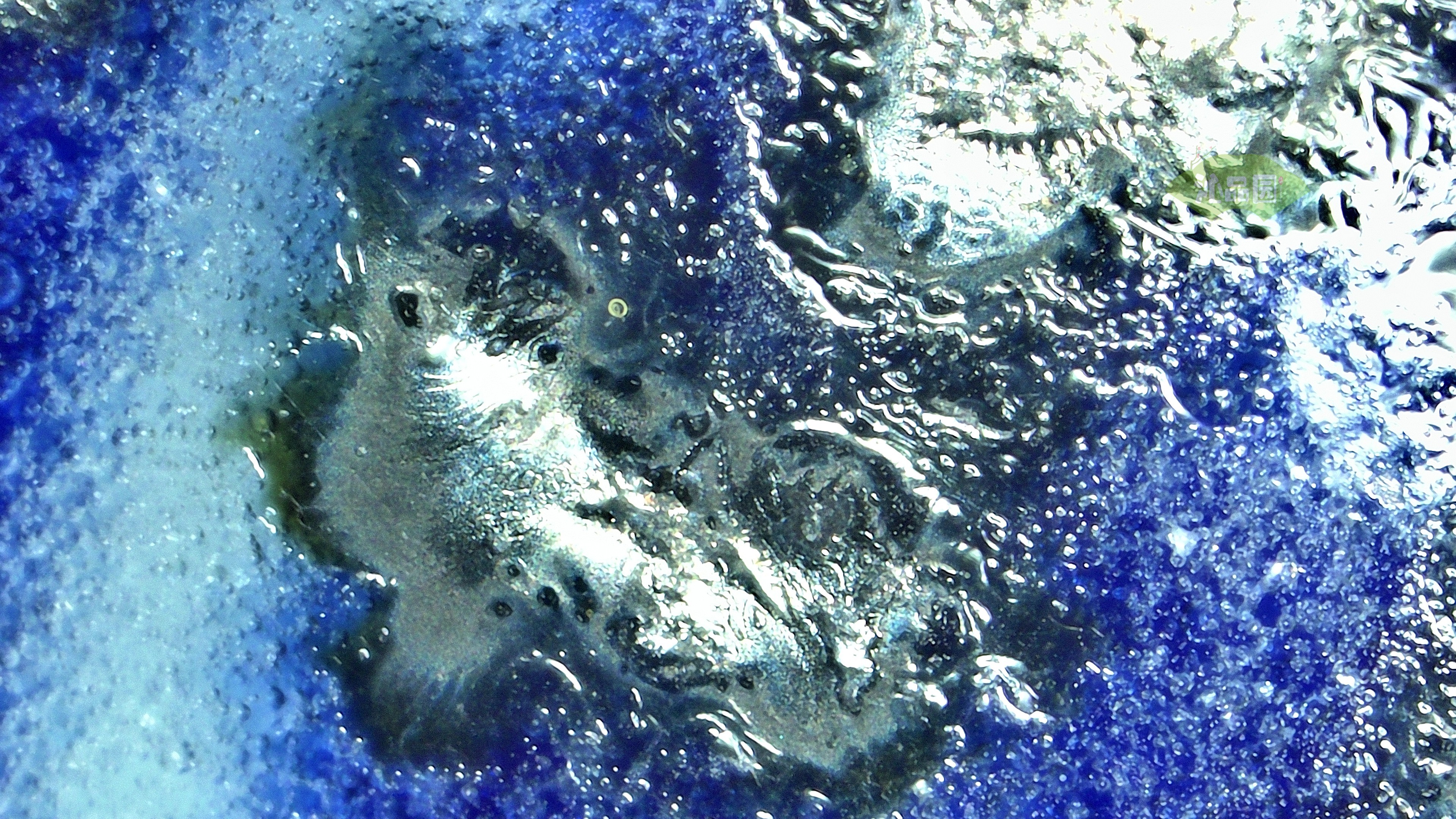 0040.jpg