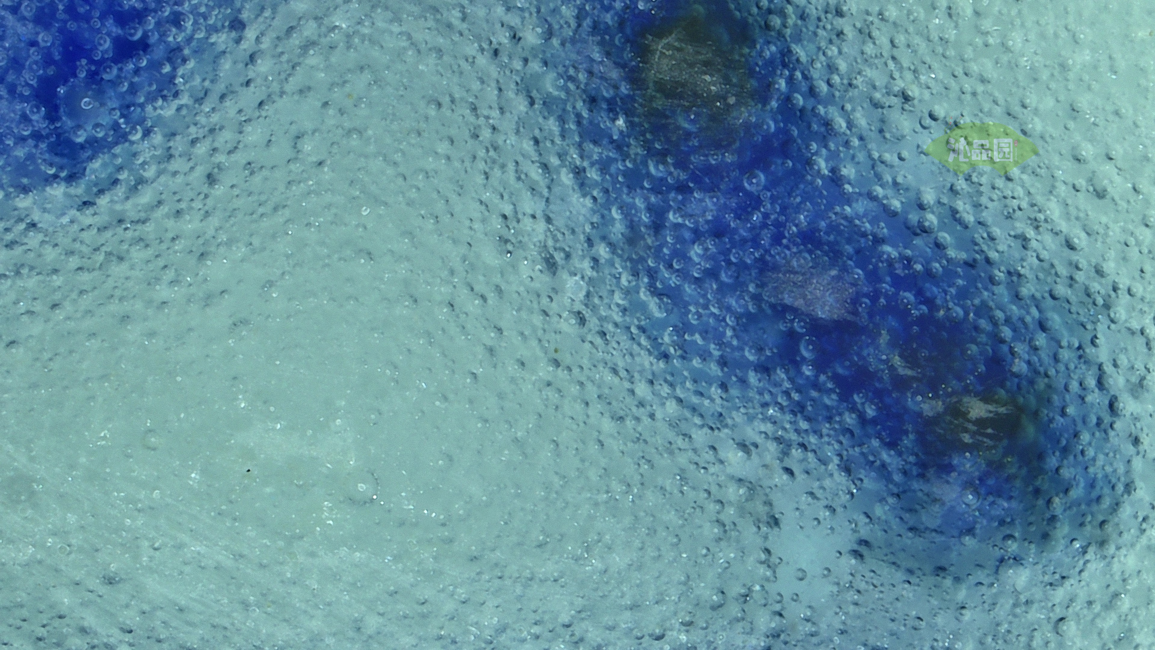 0076.jpg