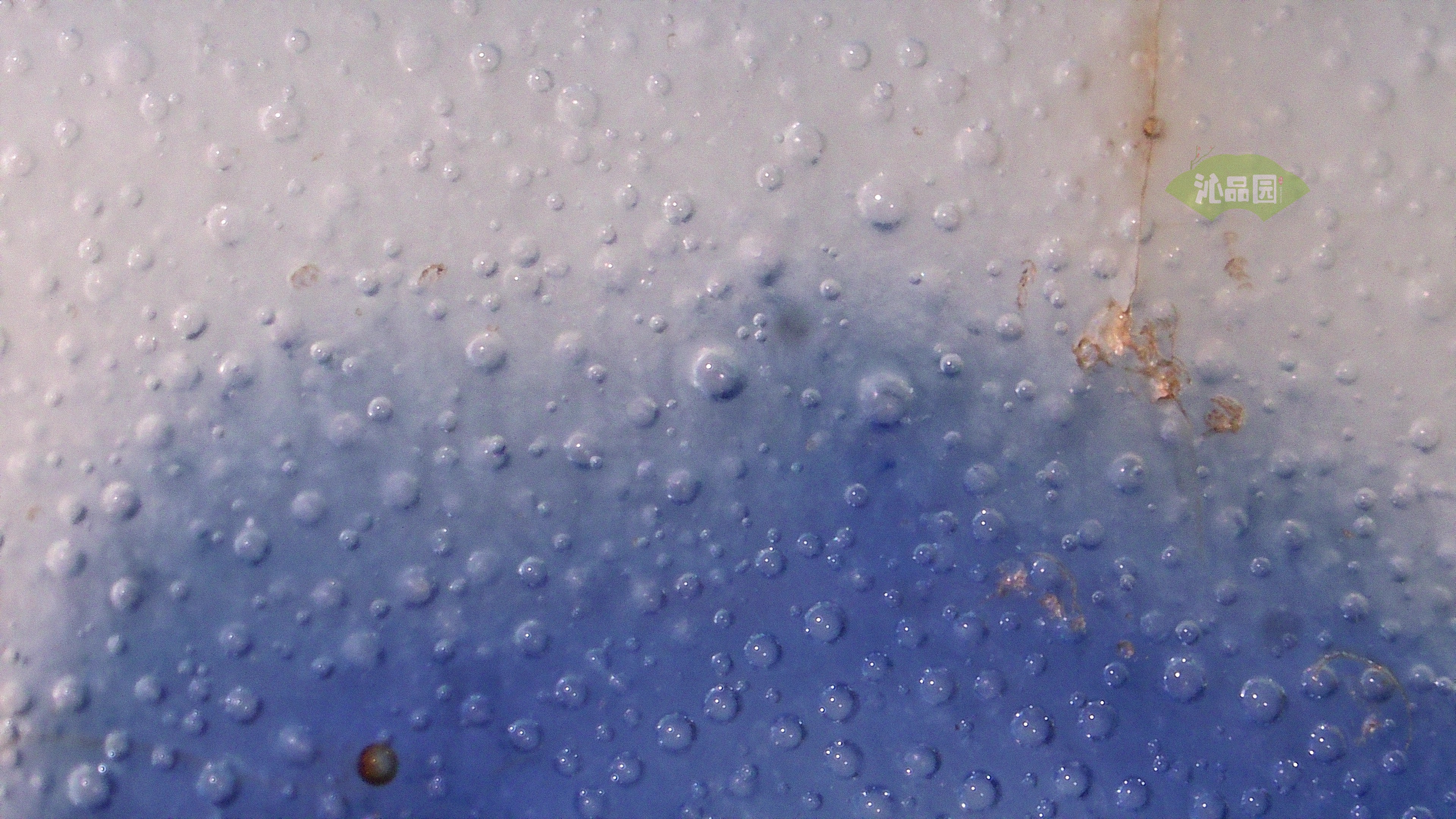 1183.jpg
