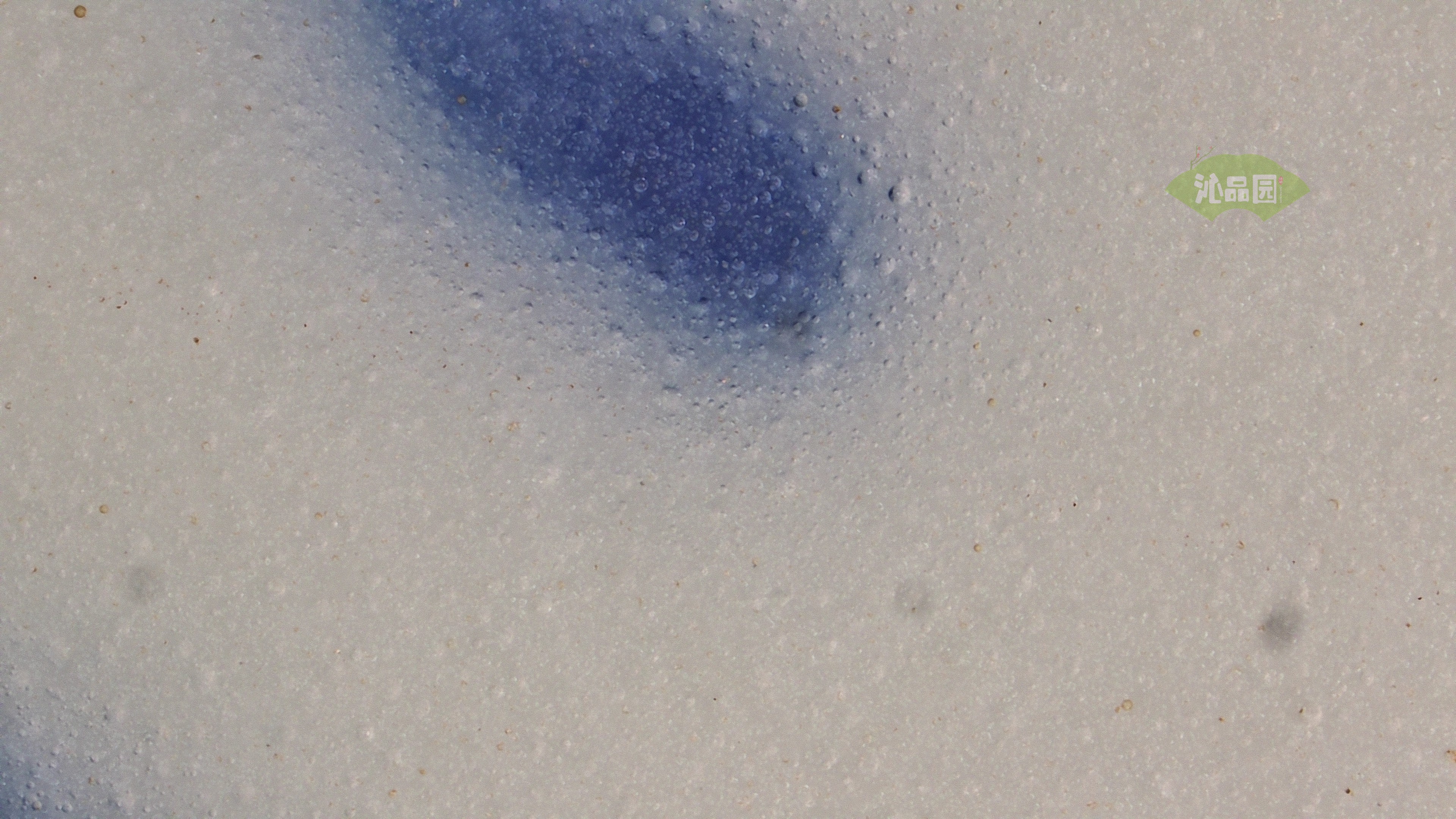 1212.jpg
