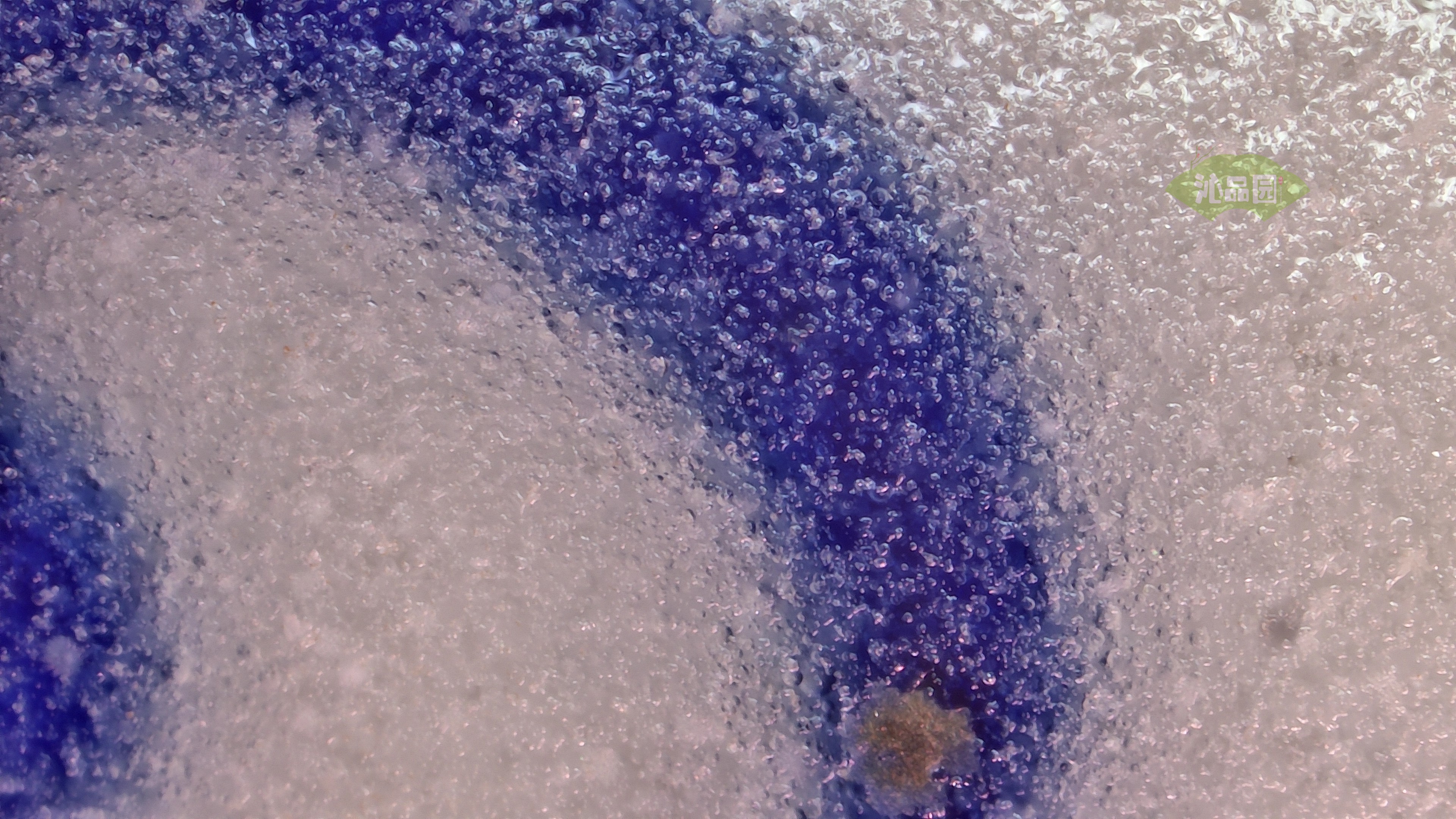 0345.jpg