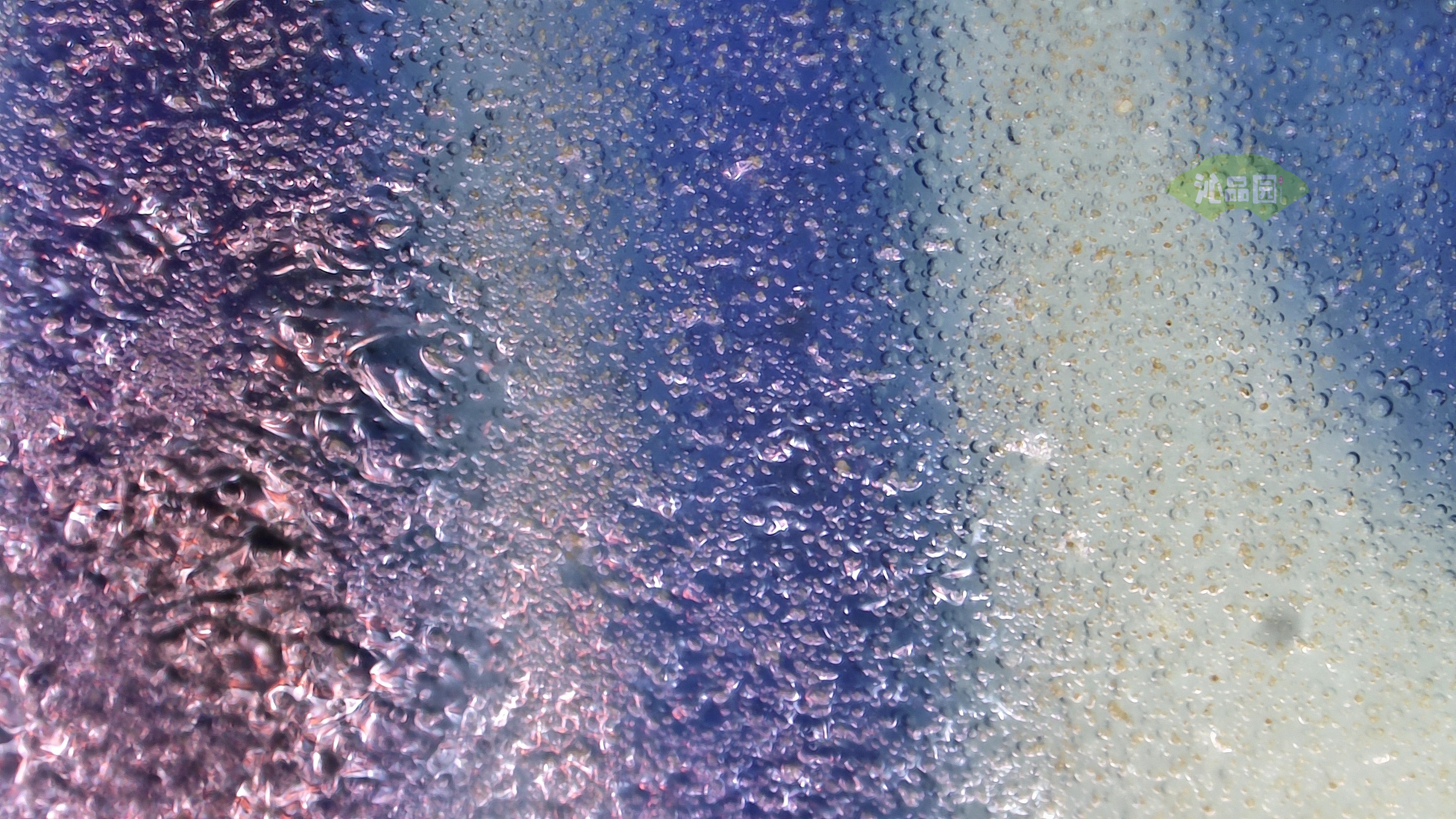 1034.jpg