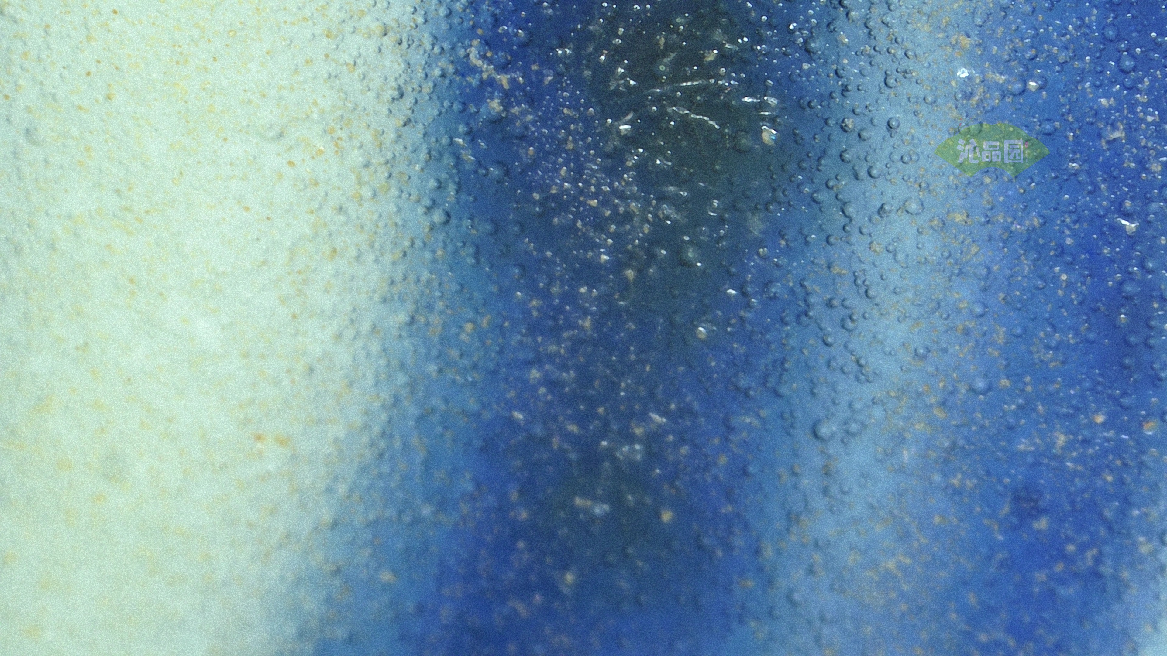 1035.jpg