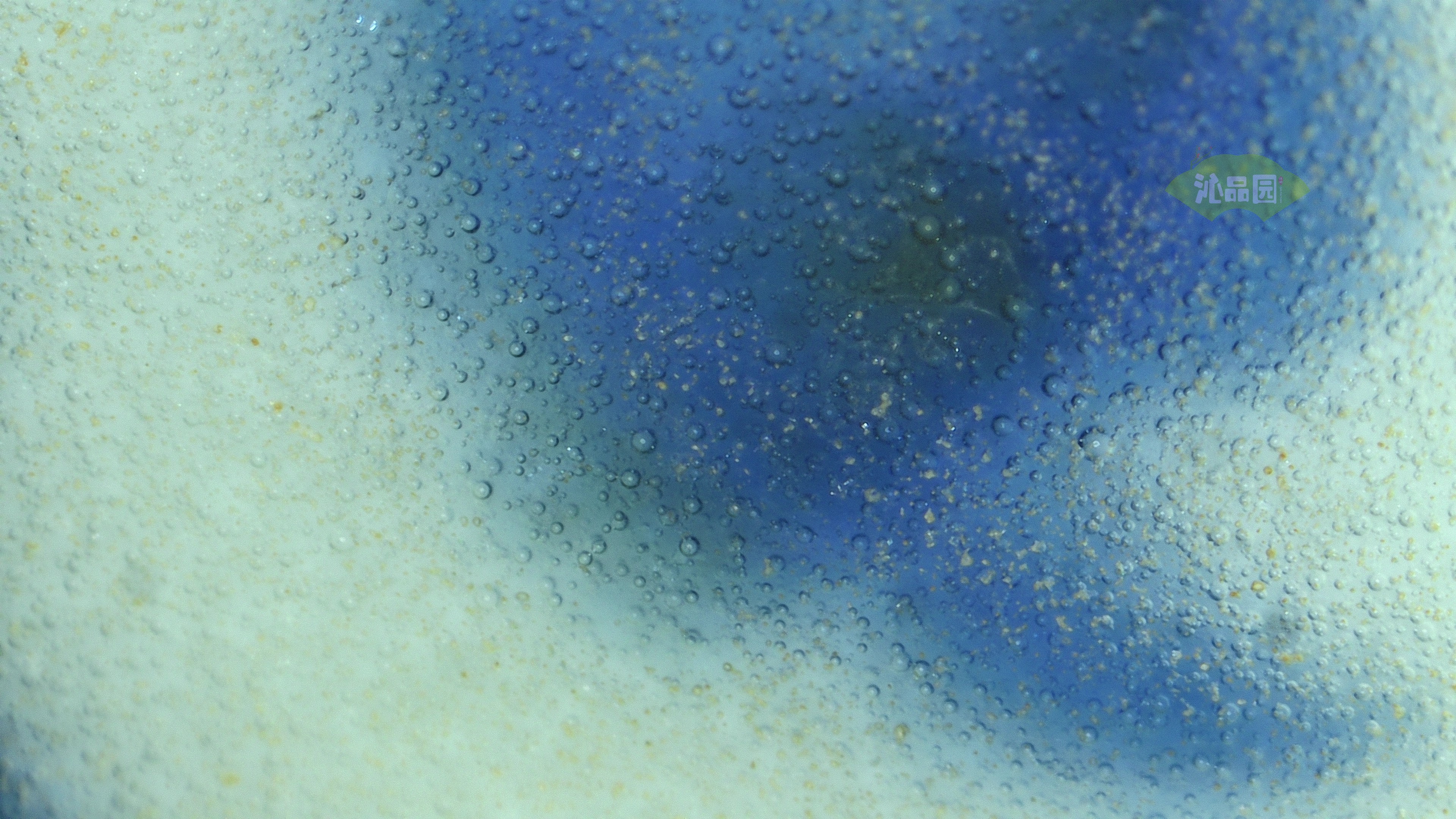 1042.jpg