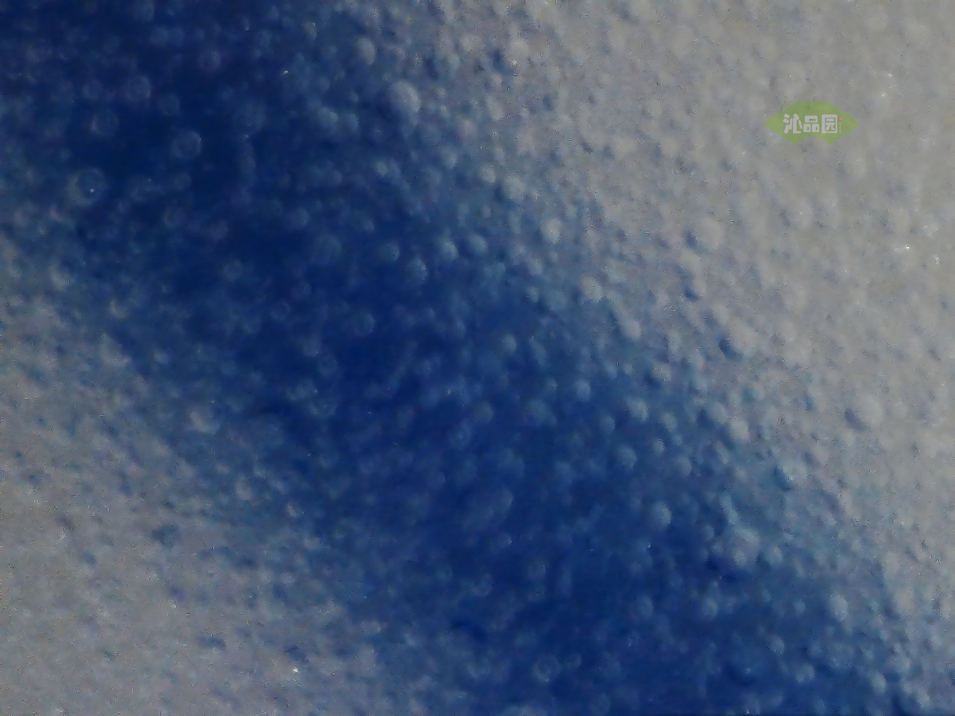 CHD00890.JPG