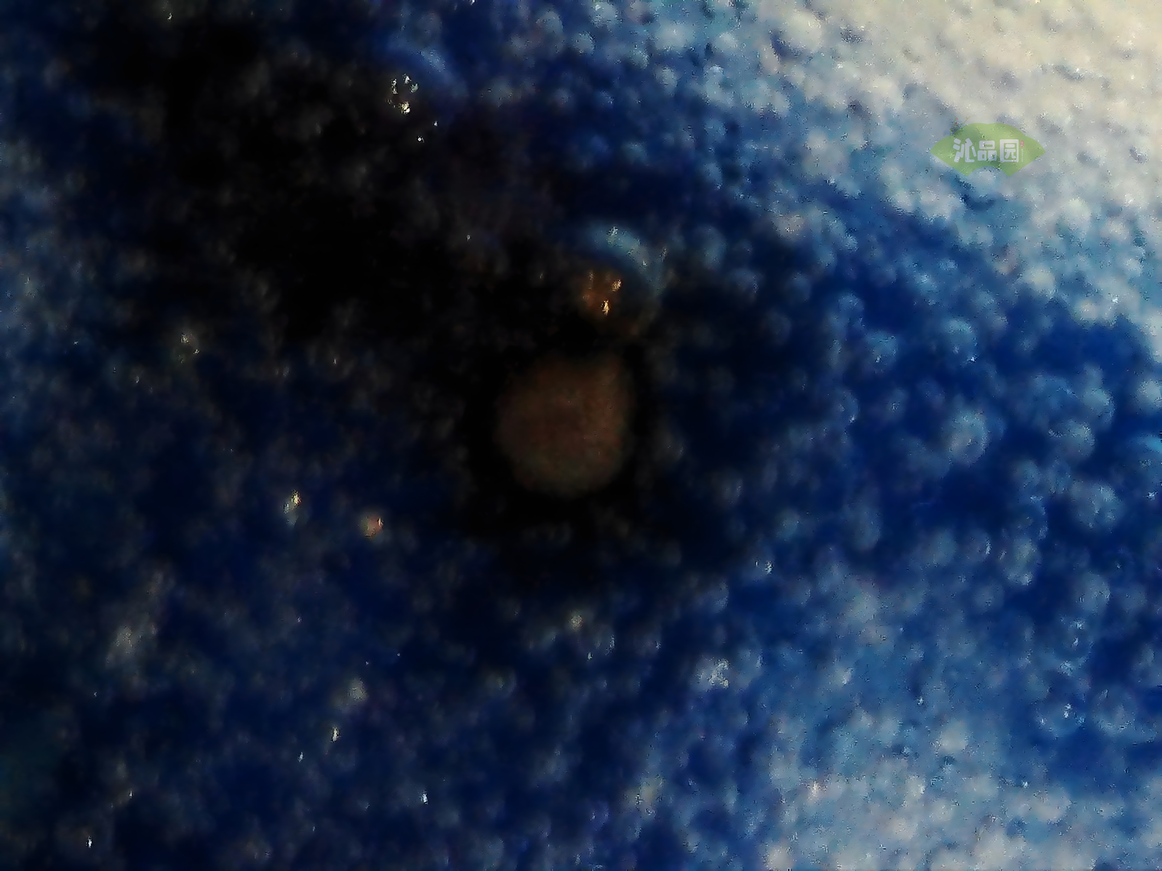 CHD00995.JPG
