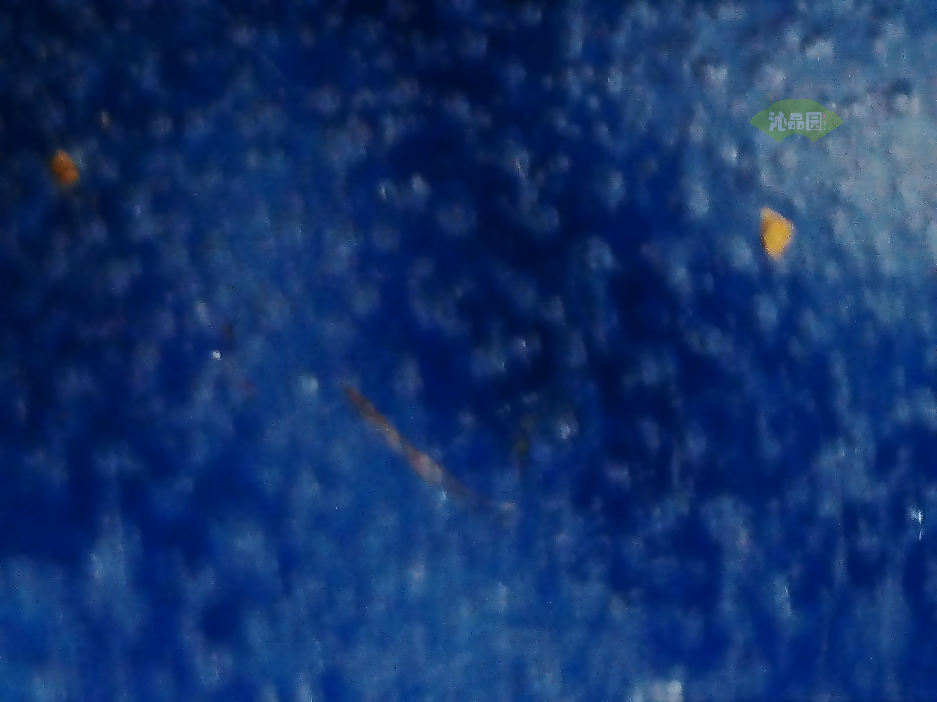 CHD00997.JPG