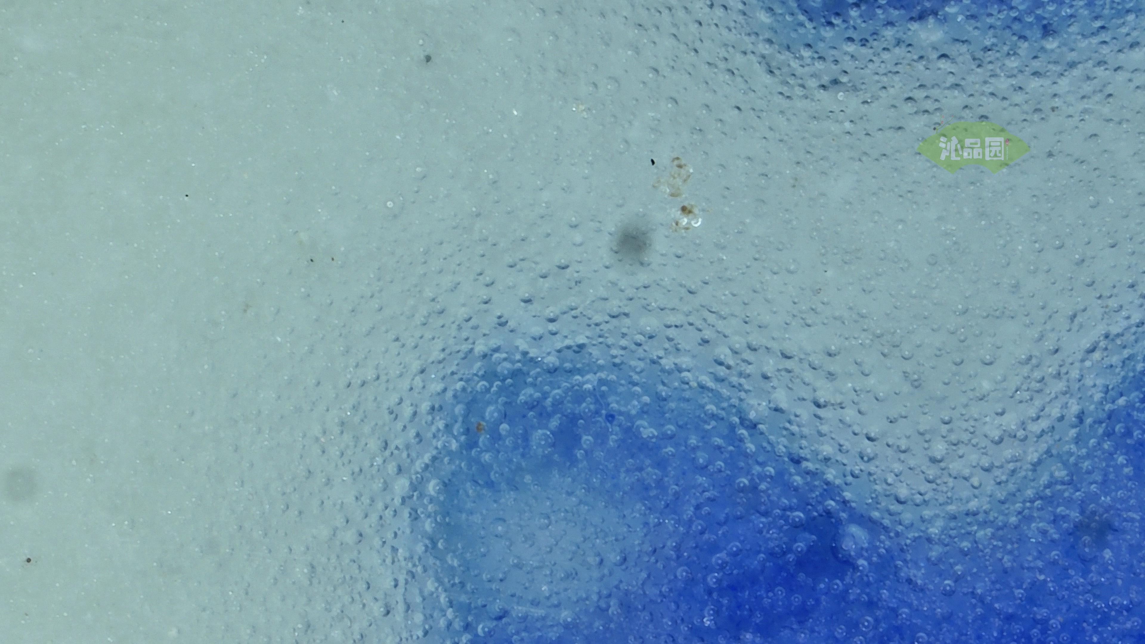 0452.jpg