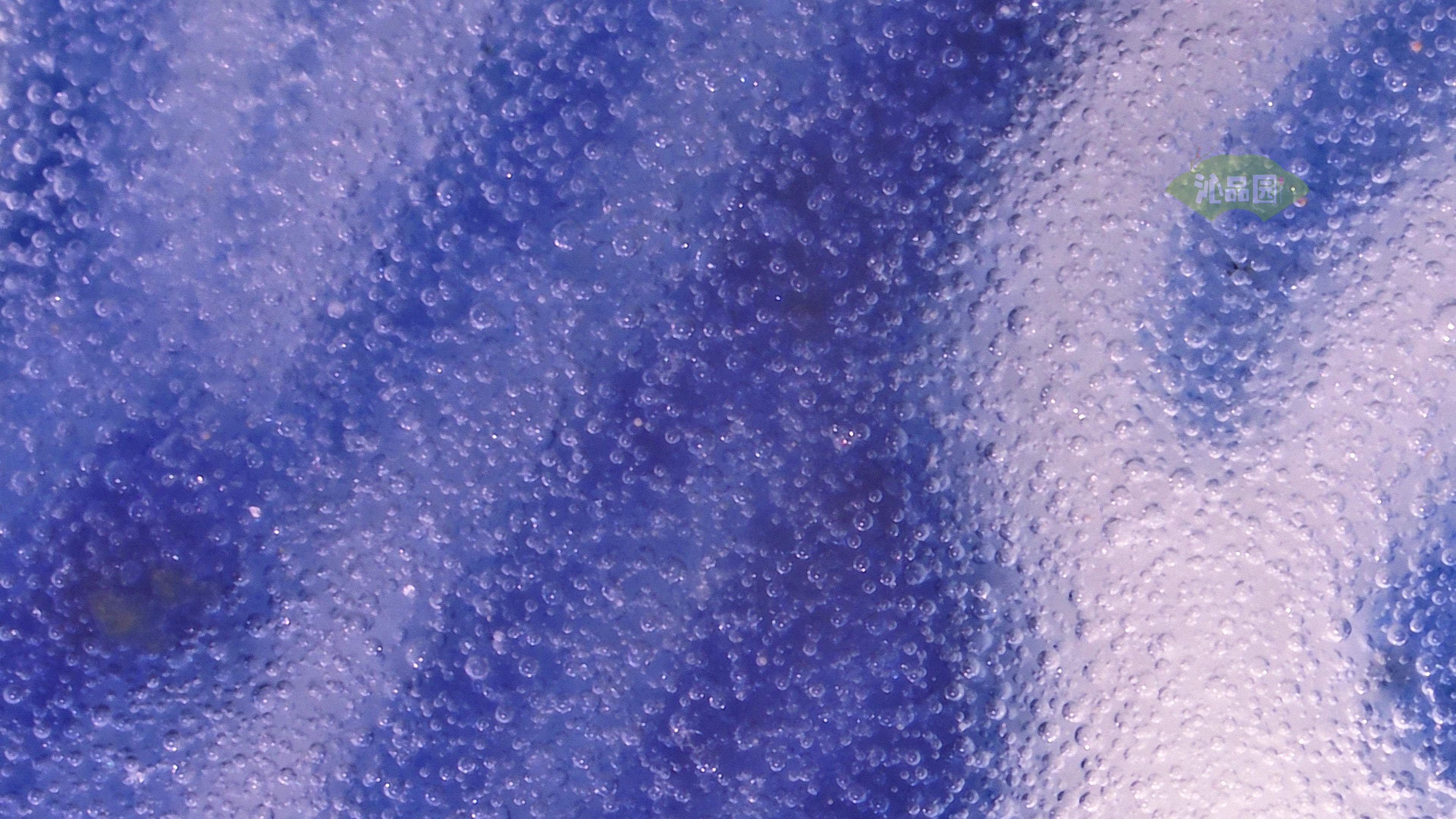 0484.jpg
