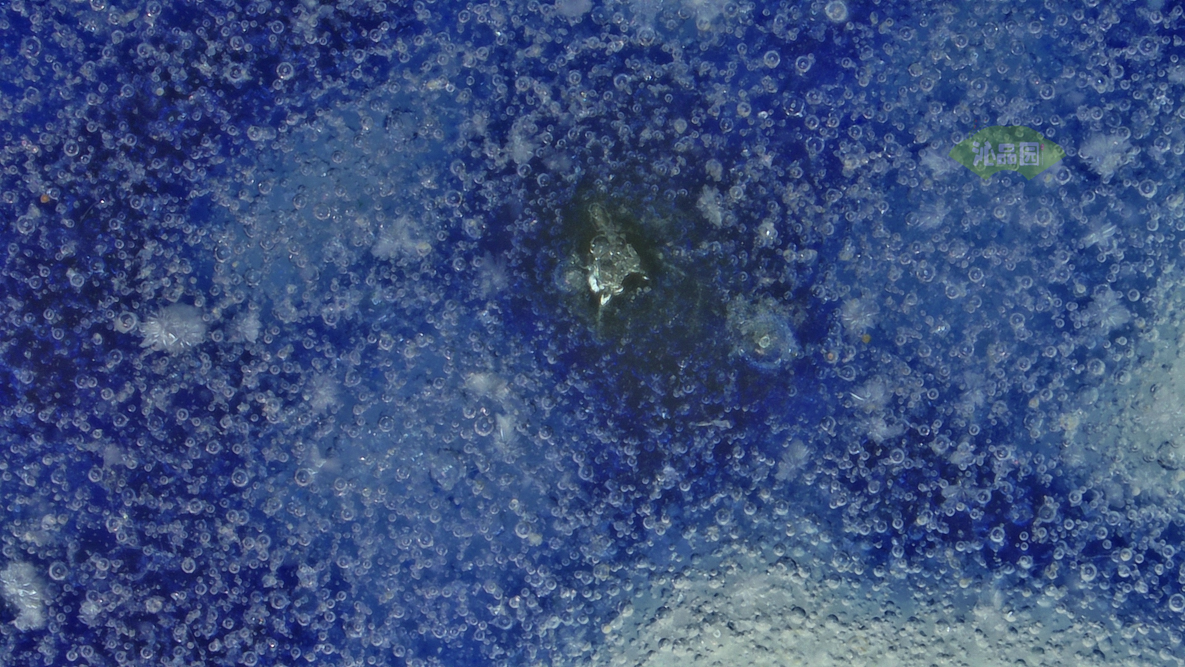 1018.jpg