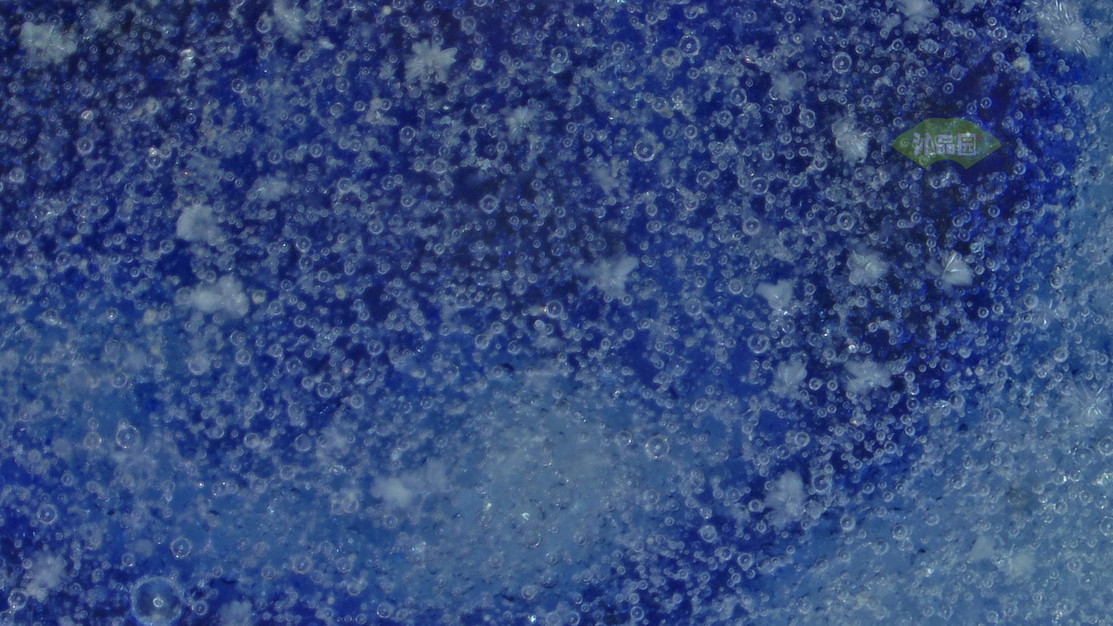 1021.jpg