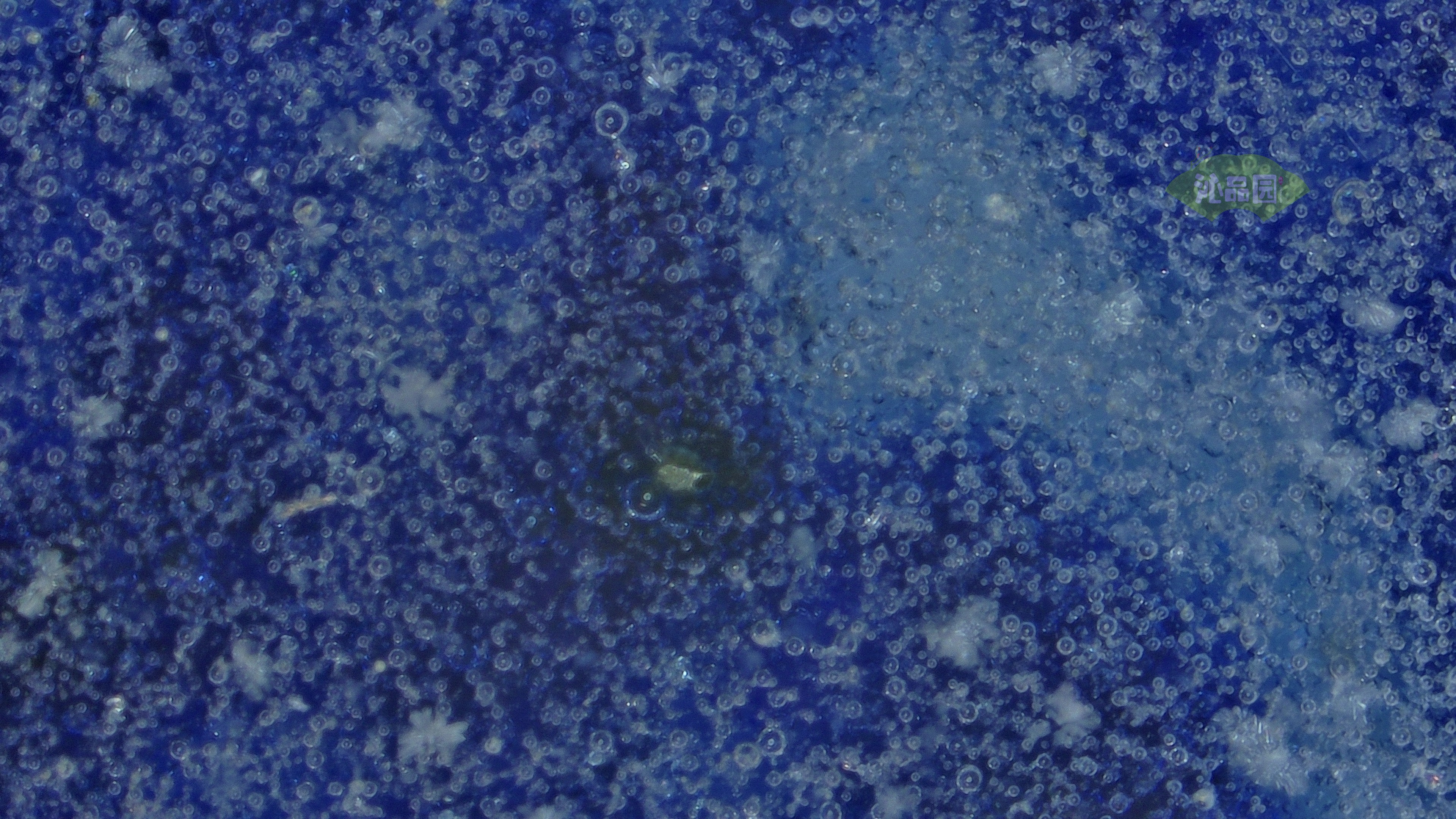 1022.jpg