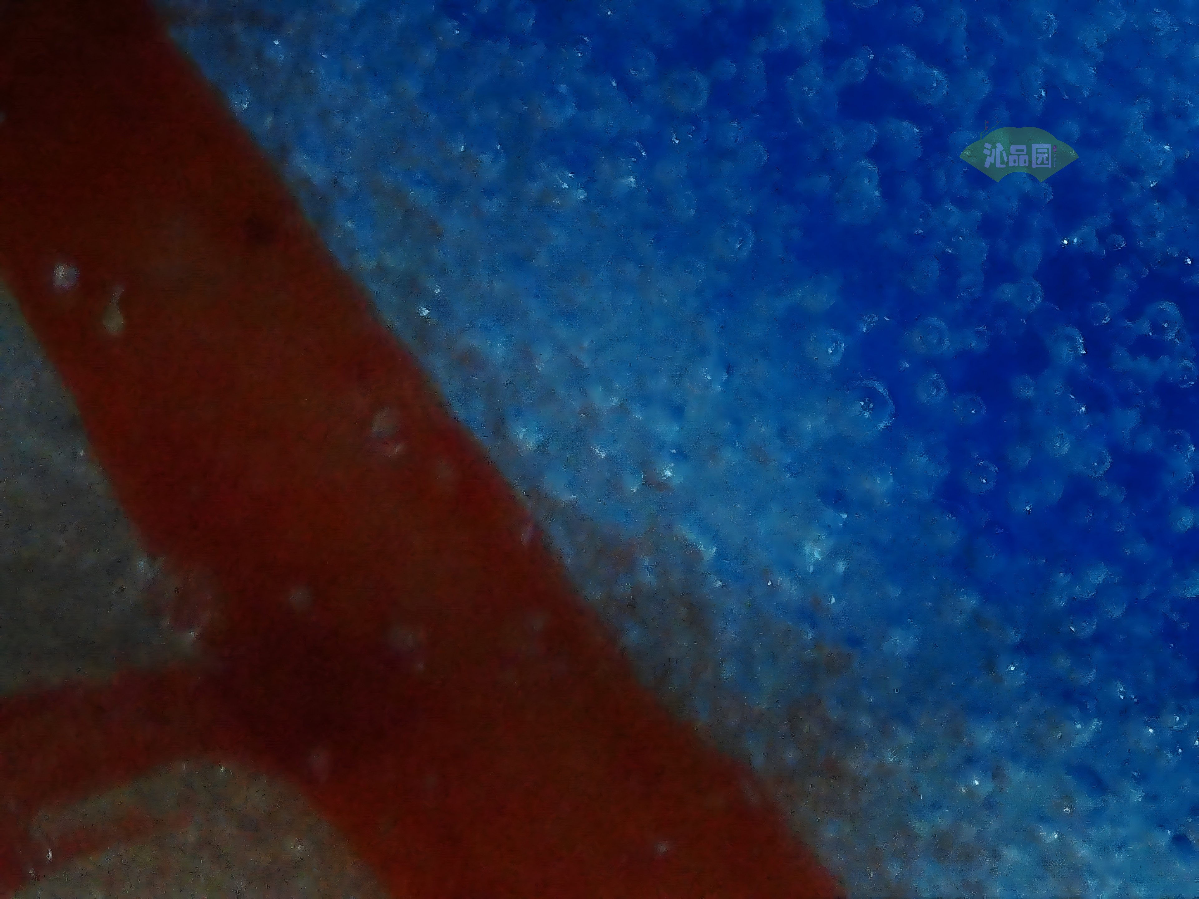 CHD00600.JPG