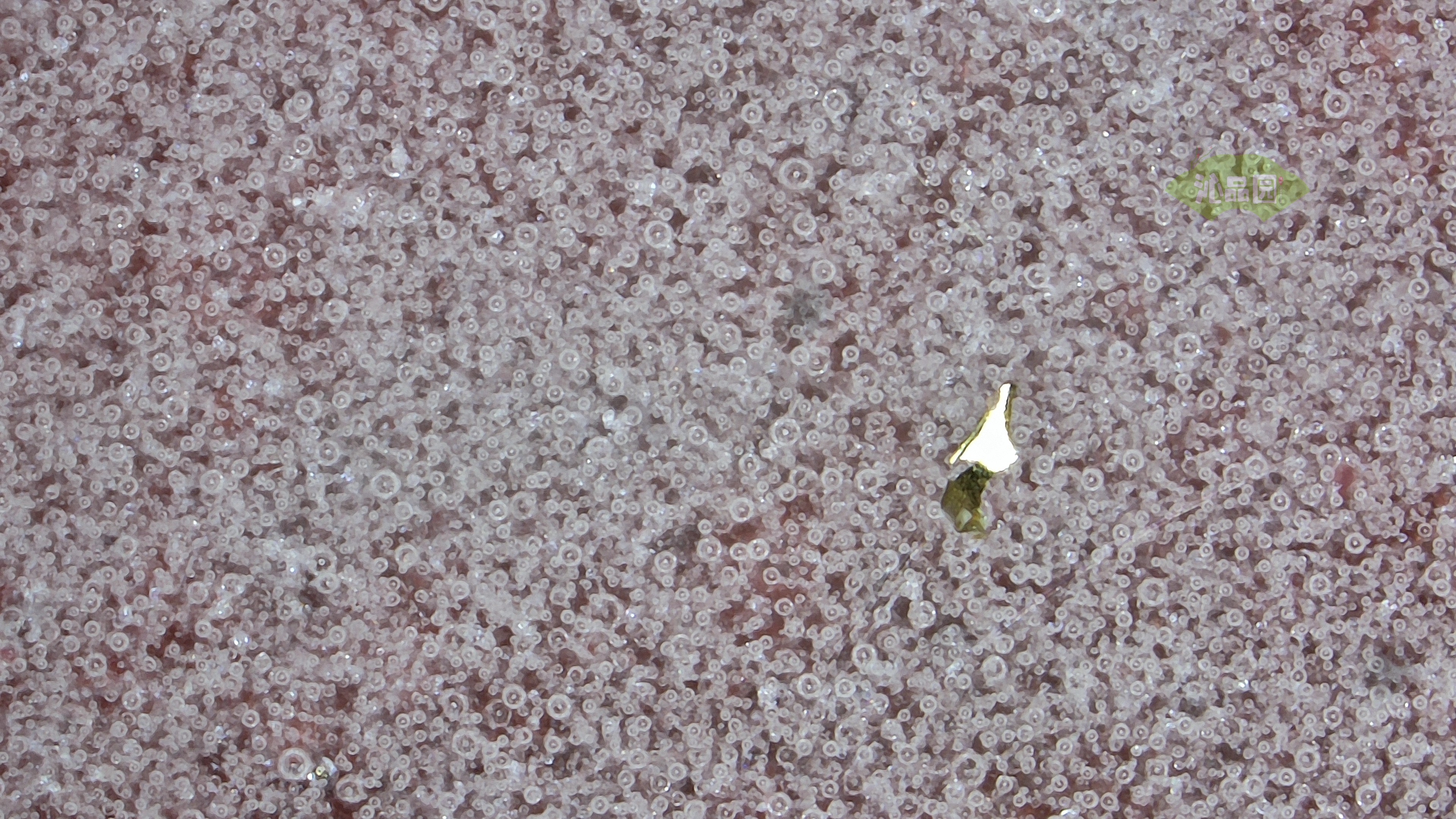 0500.jpg